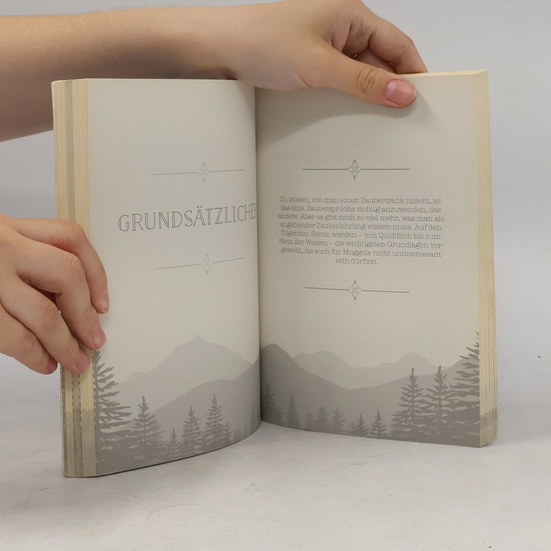 Pemerity Eagle Das Inoffizielle Harry Potter Buch der Zauberei