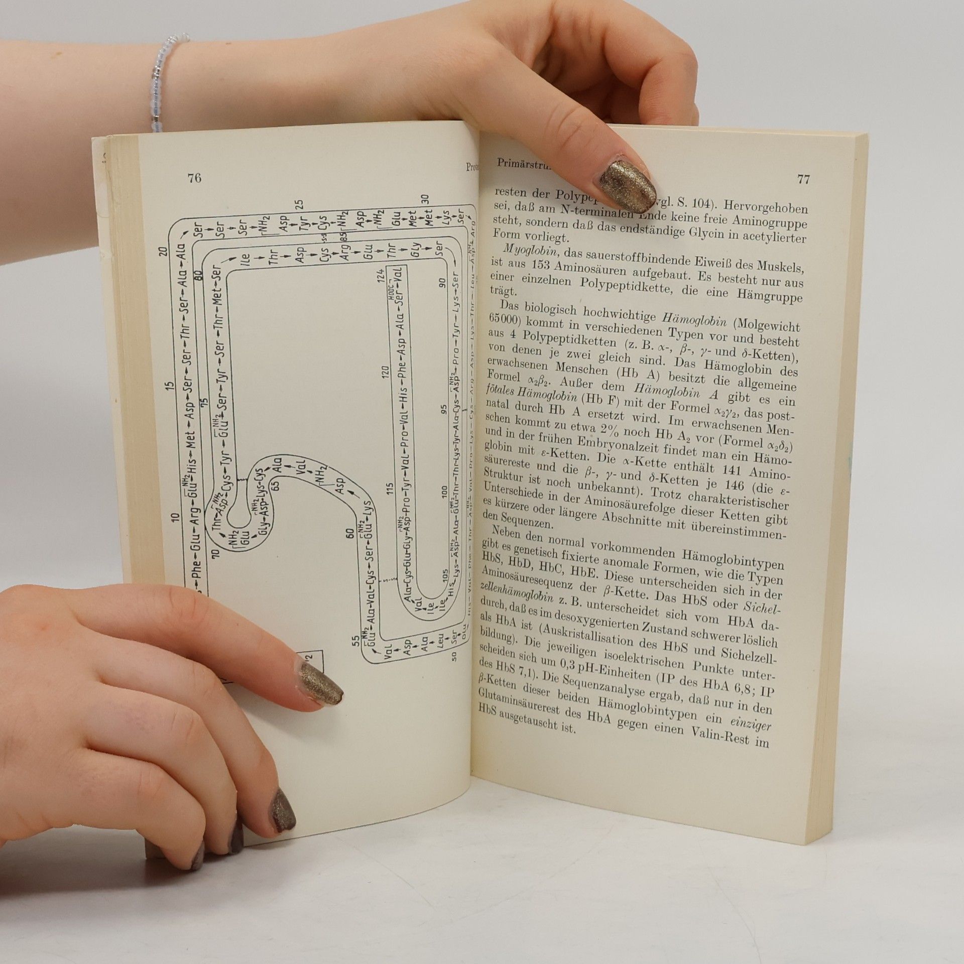 Eberhardt Hofmann Dynamische Biochemie I. Die stofflichen Grundlagen des Lebens