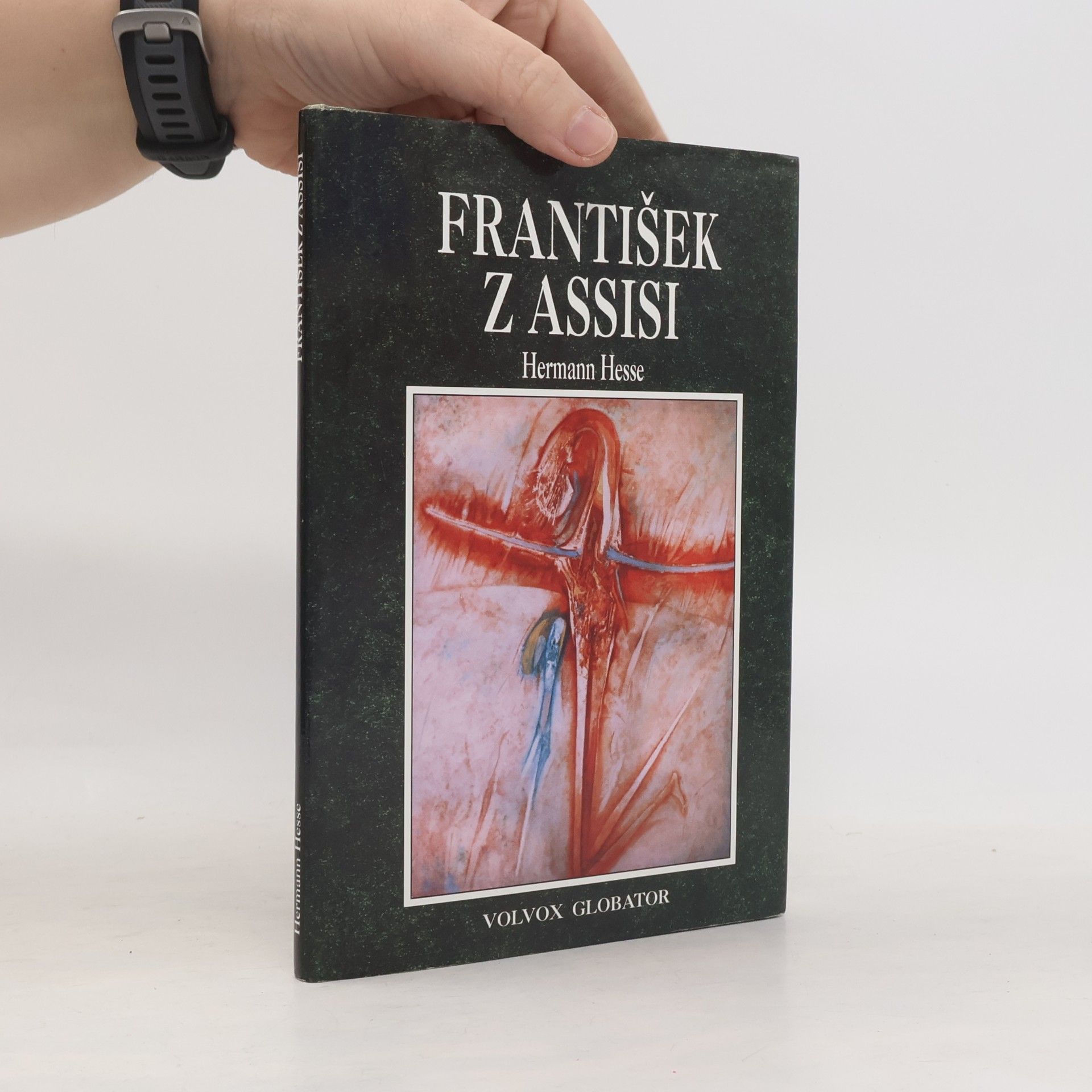 Hermann Hesse František z Assisi