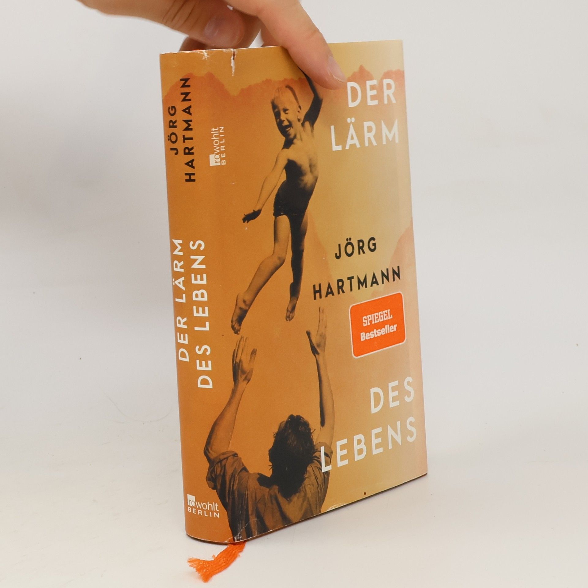 Jörg Hartmann Der Lärm des Lebens