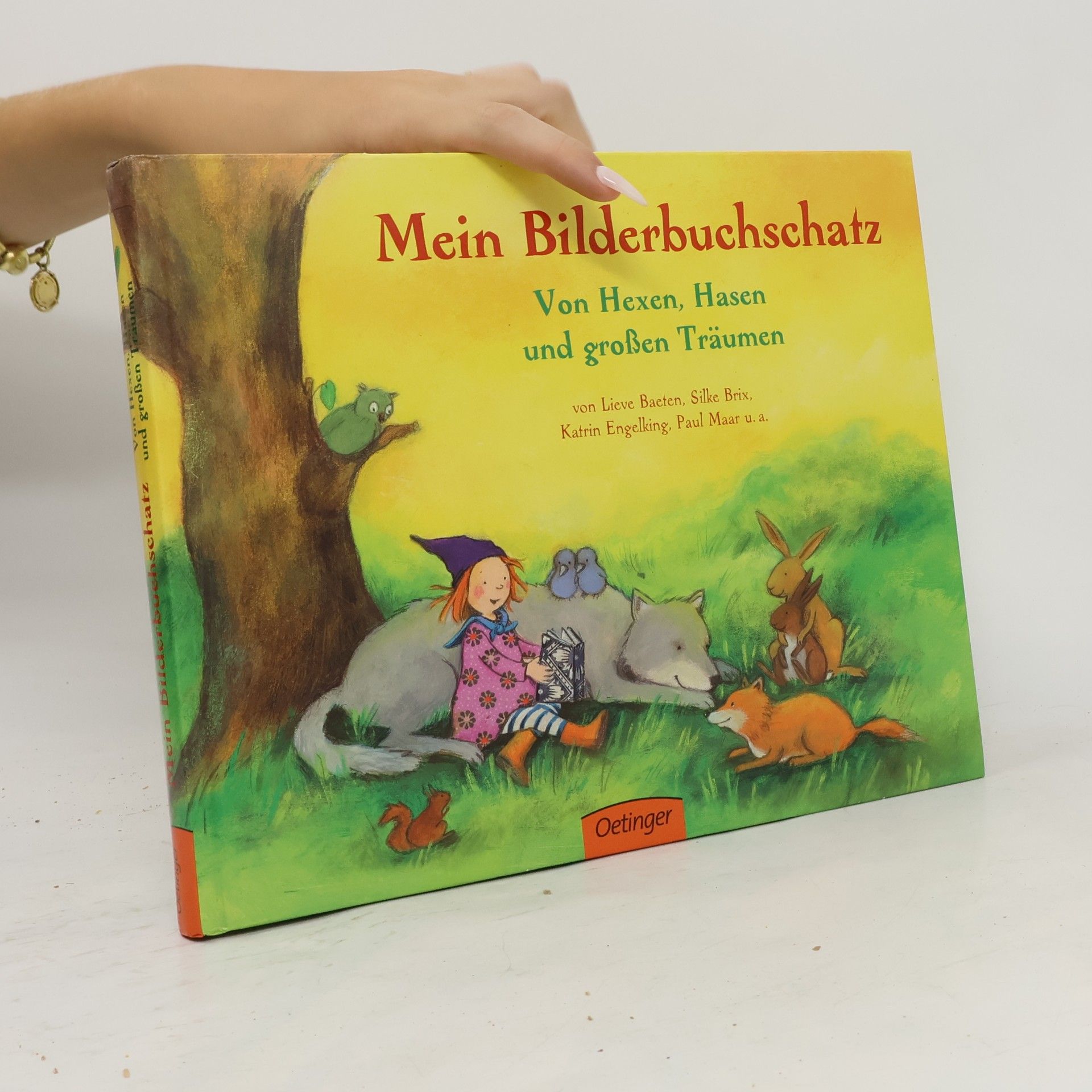 Lieve Baeten Mein Bilderbuchschatz