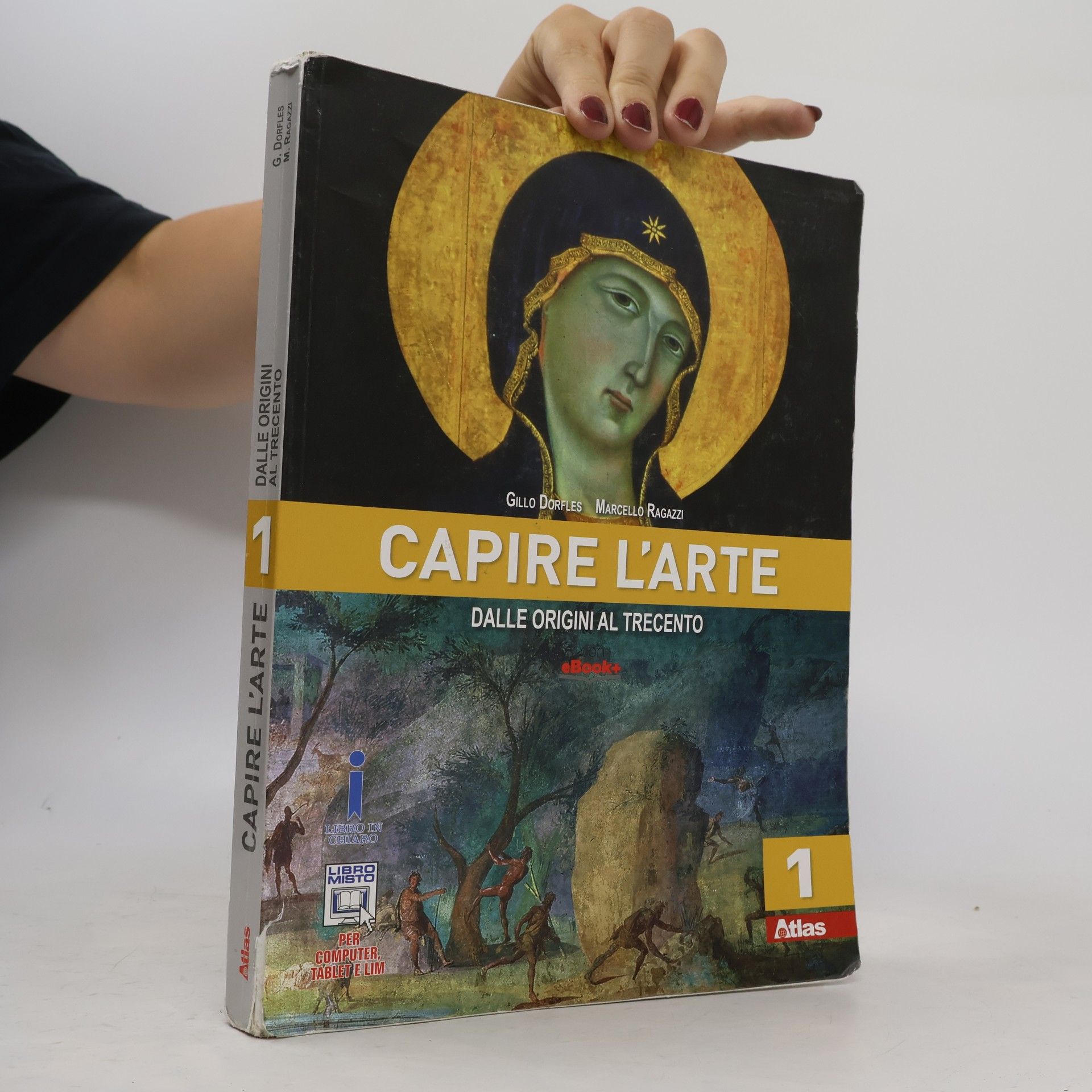 Marcello Ragazzi Capire l'arte