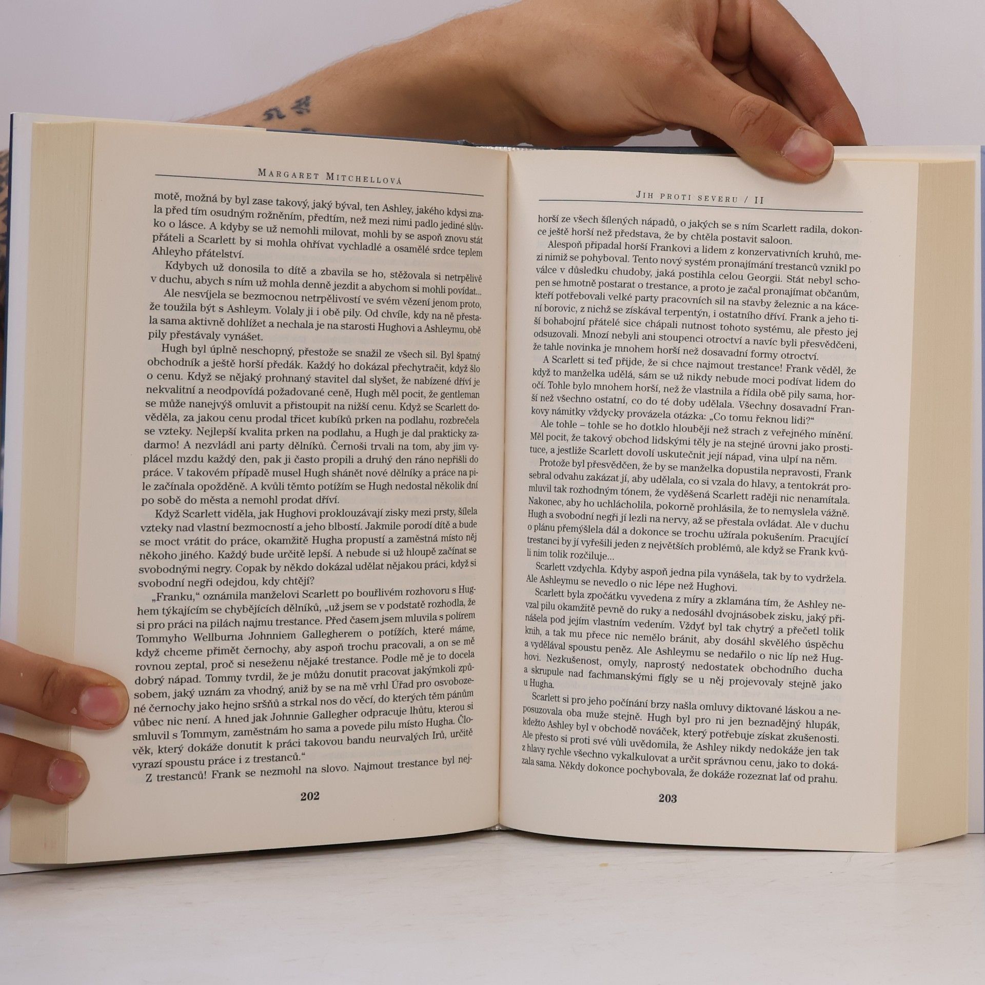 Margaret Mitchell Jih proti Severu 2. díl