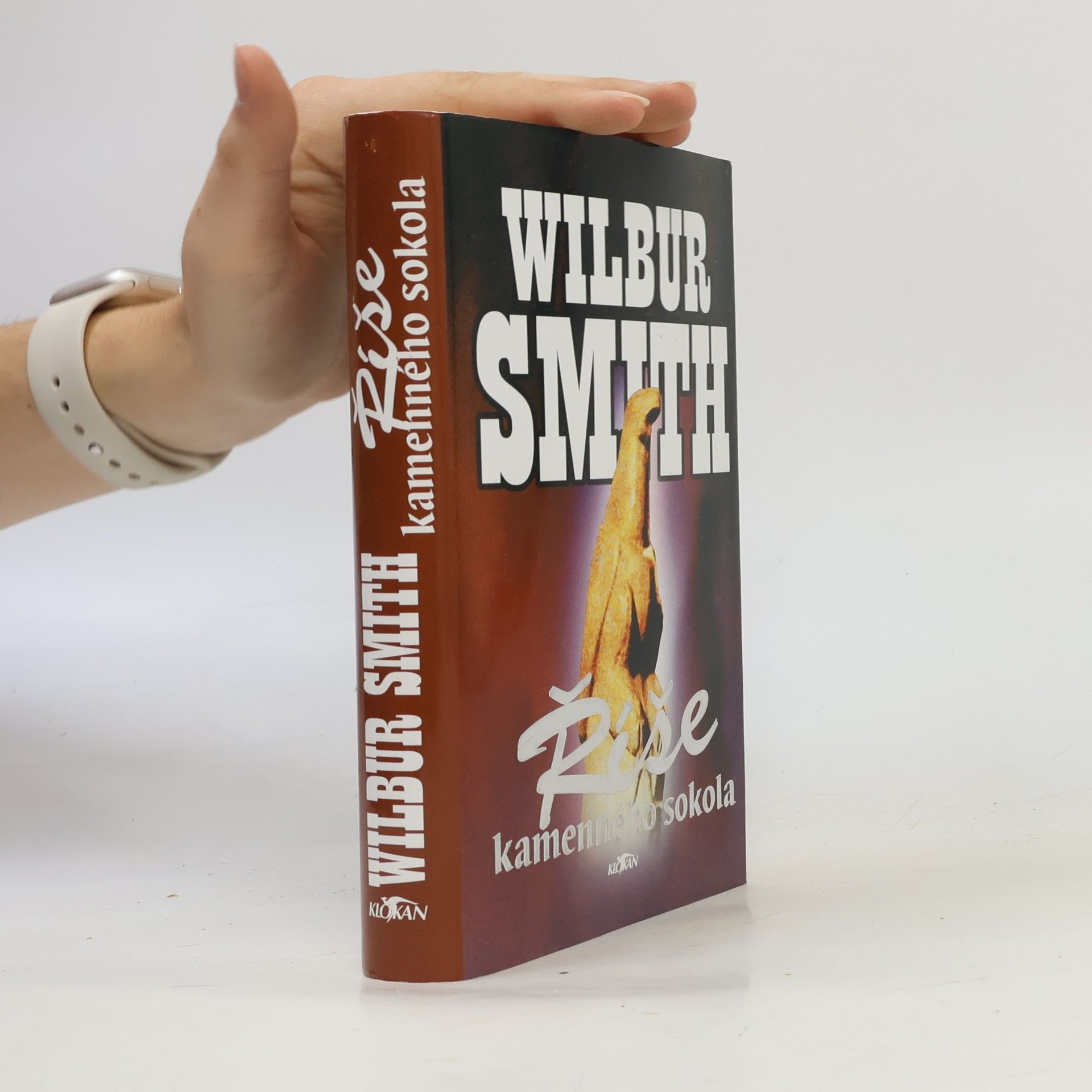 Wilbur Smith Říše kamenného sokola