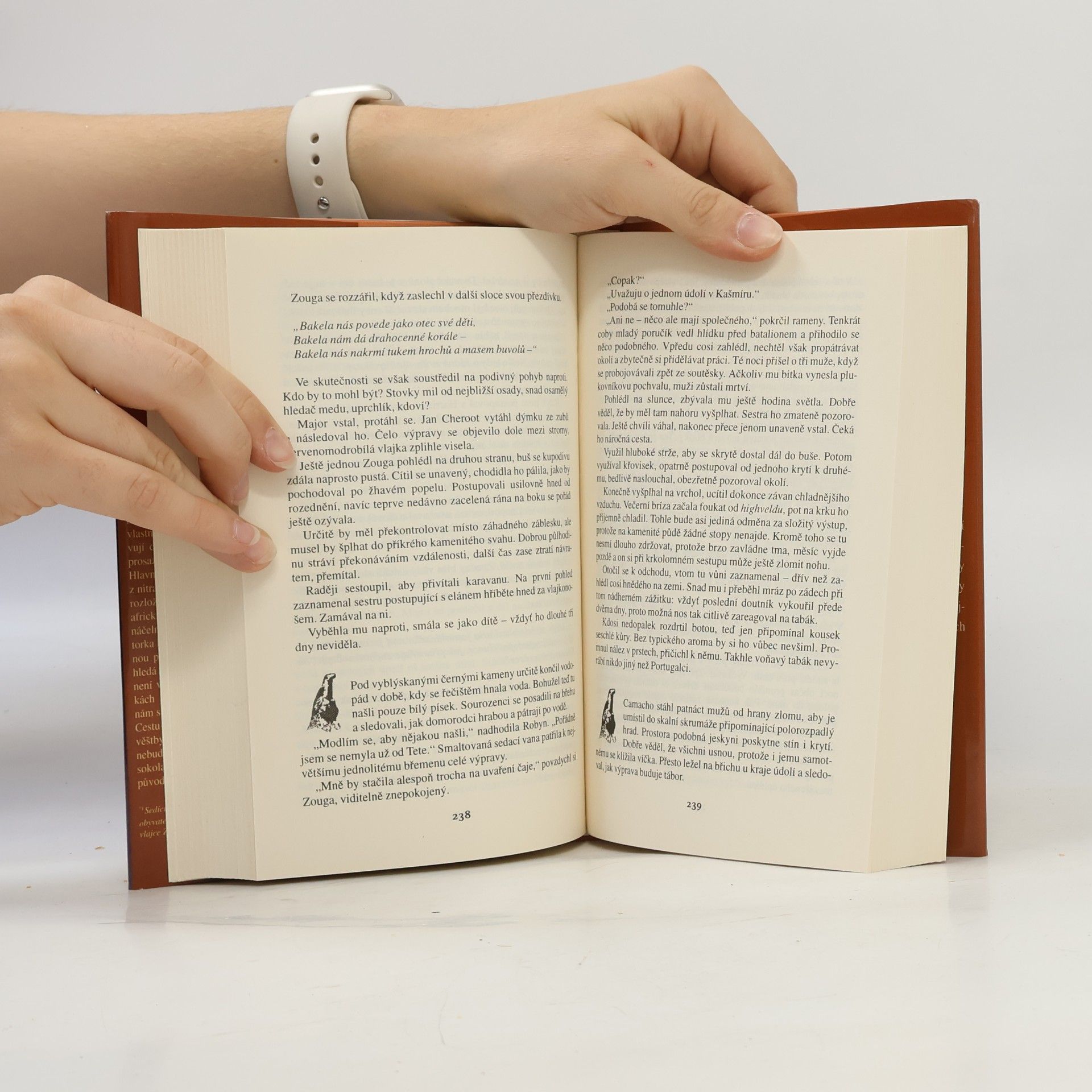 Wilbur Smith Říše kamenného sokola