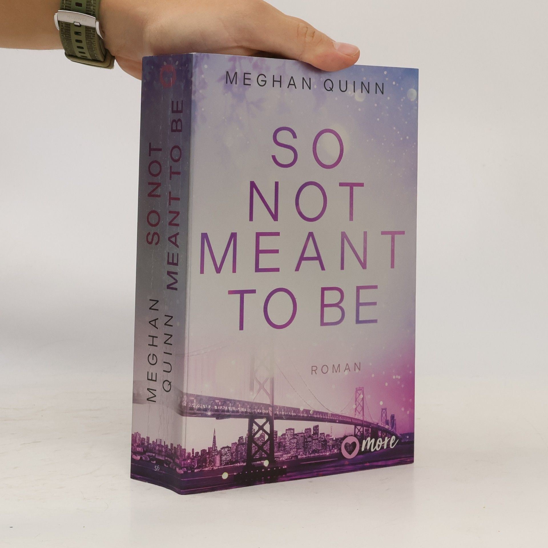 So Not Meant To Be / Cane Brothers Bd.2
