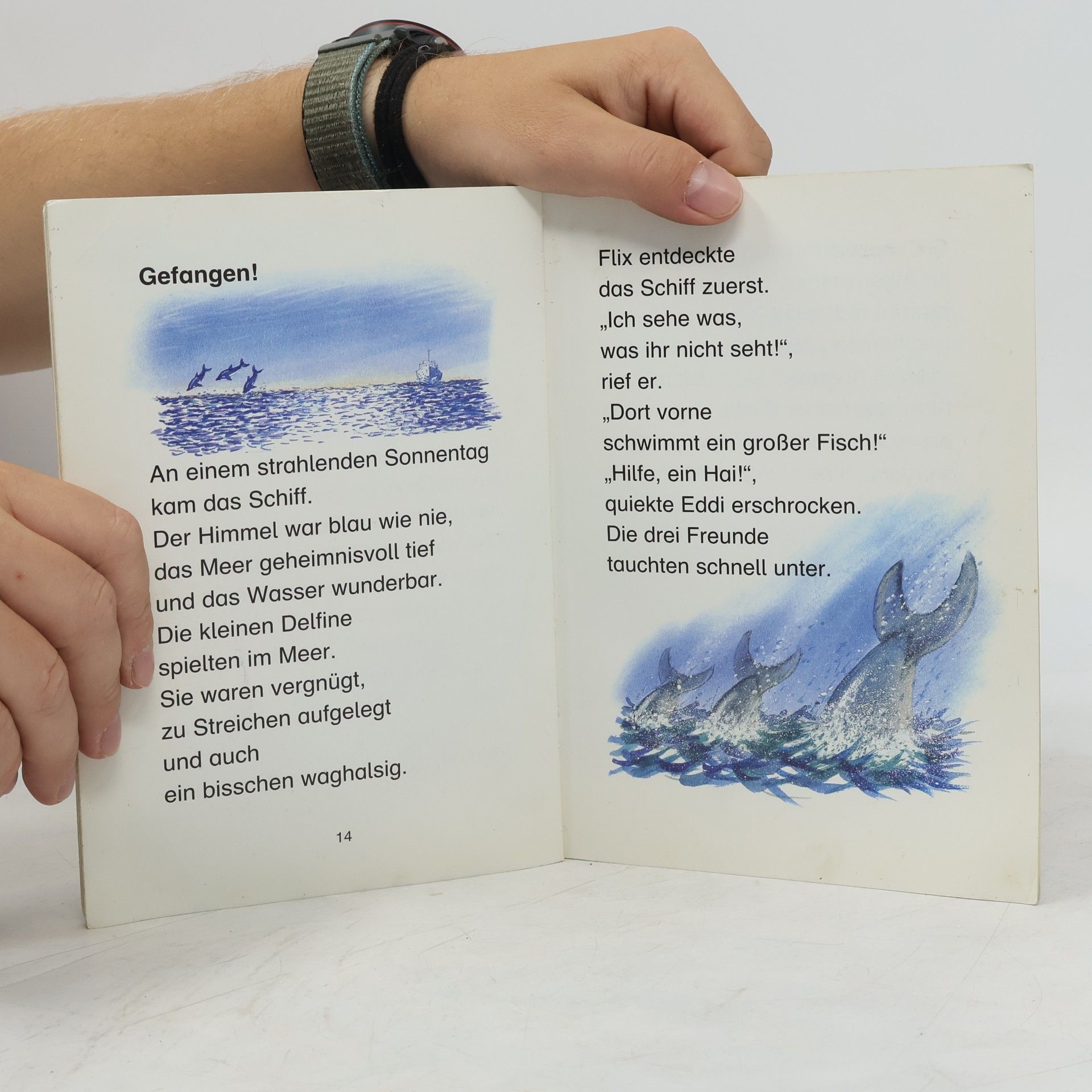 Marliese Arold Gefahr für den kleinen Delfin