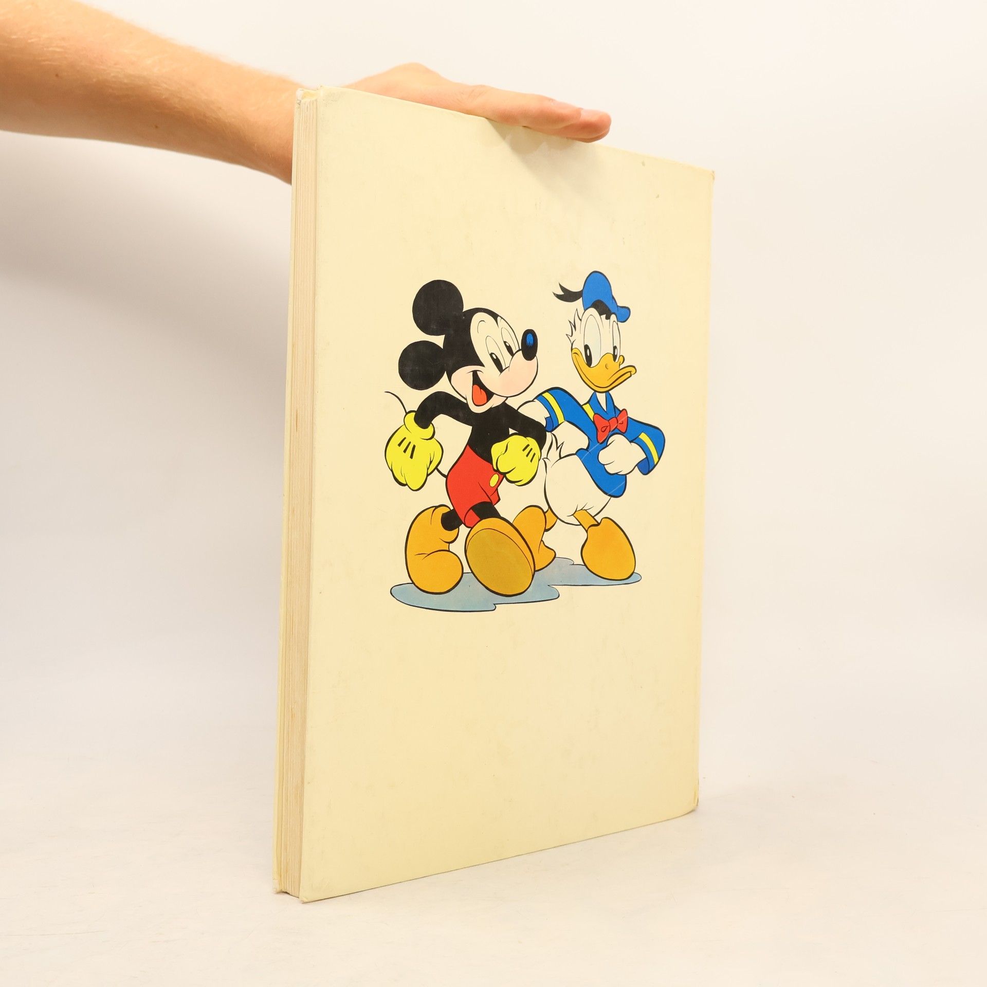 Autorenkollektiv Ich Micky Maus