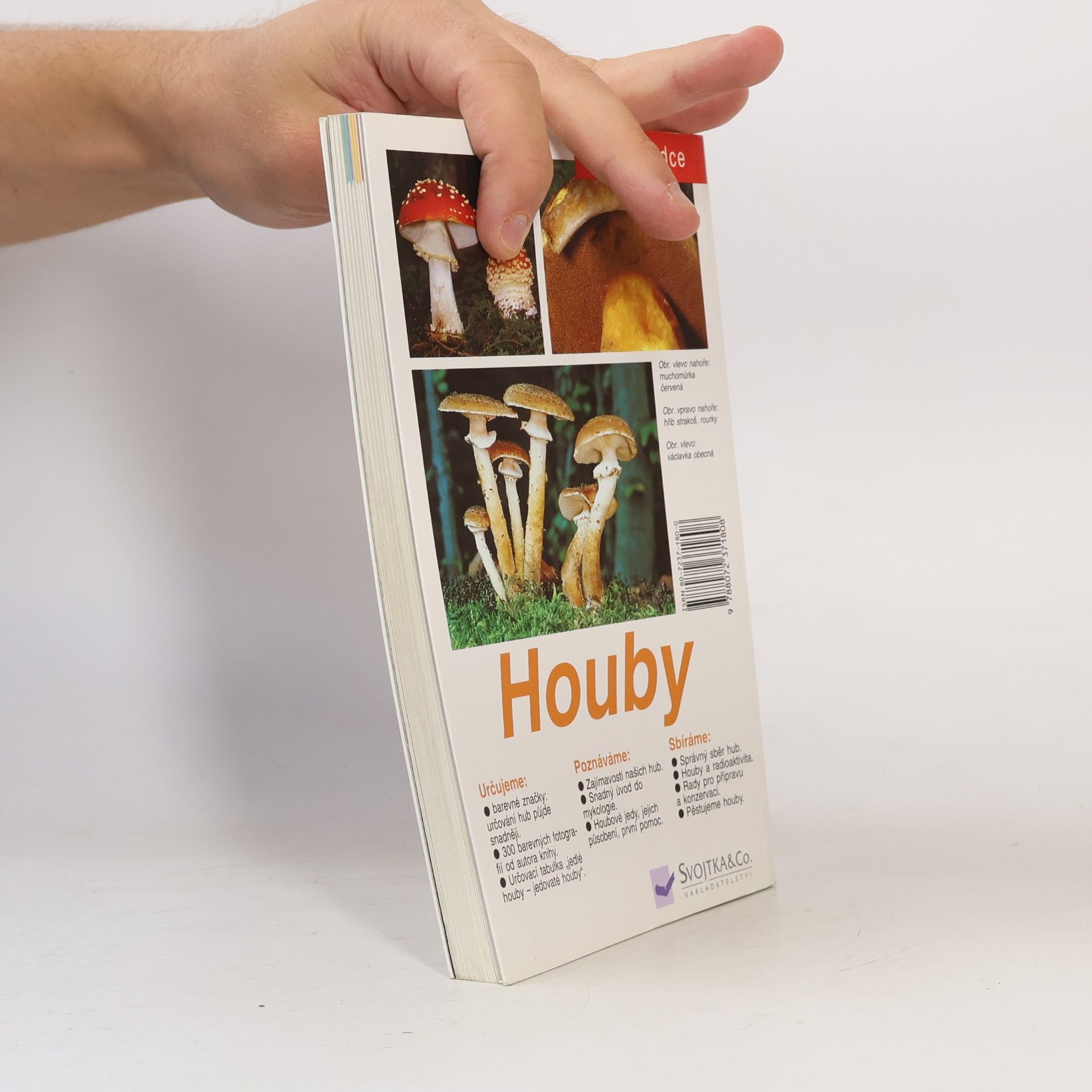 Edmund Garnweidner Houby: Jedlé houby, jejich jedovatí dvojníci a nejedlé houby ve střední Evropě : určování, poznávání, sbírání