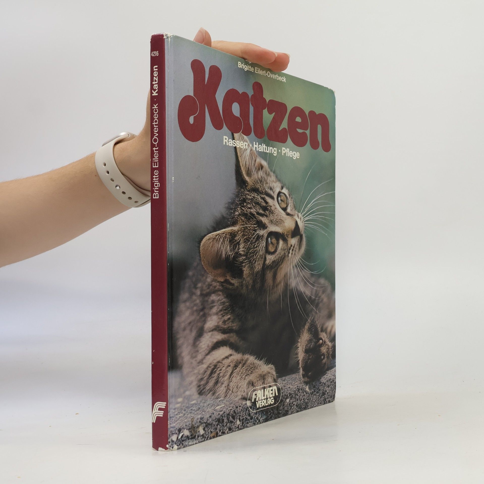 Brigitte Eilert-Overbeck Katzen