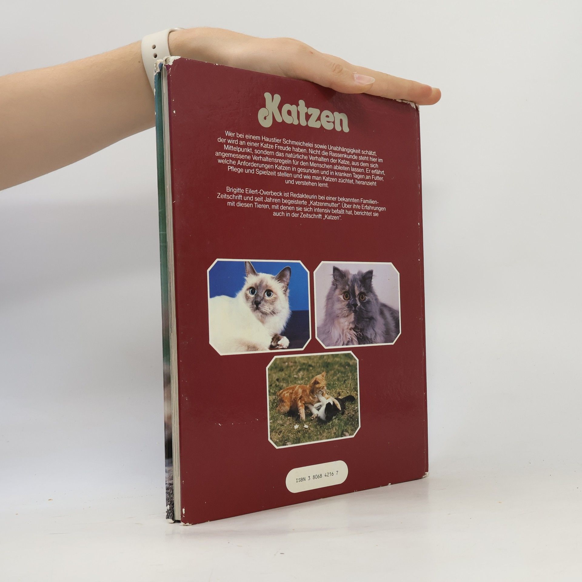 Brigitte Eilert-Overbeck Katzen