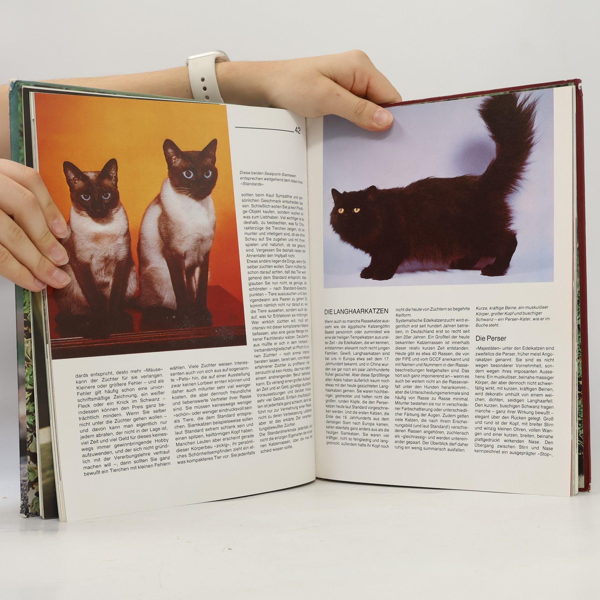 Brigitte Eilert-Overbeck Katzen
