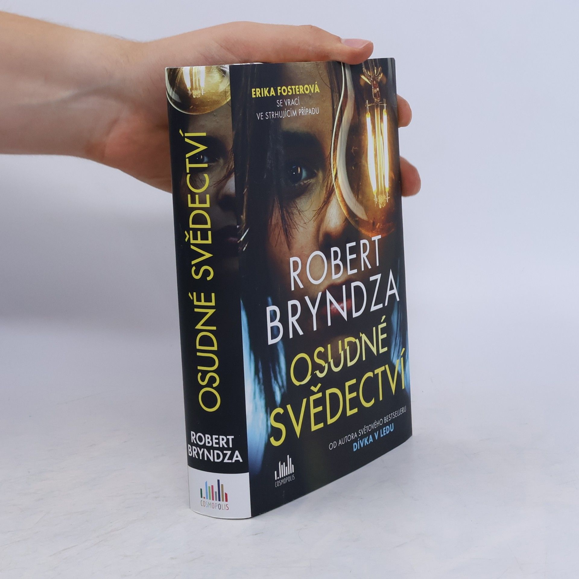 Robert Bryndza Osudné svědectví