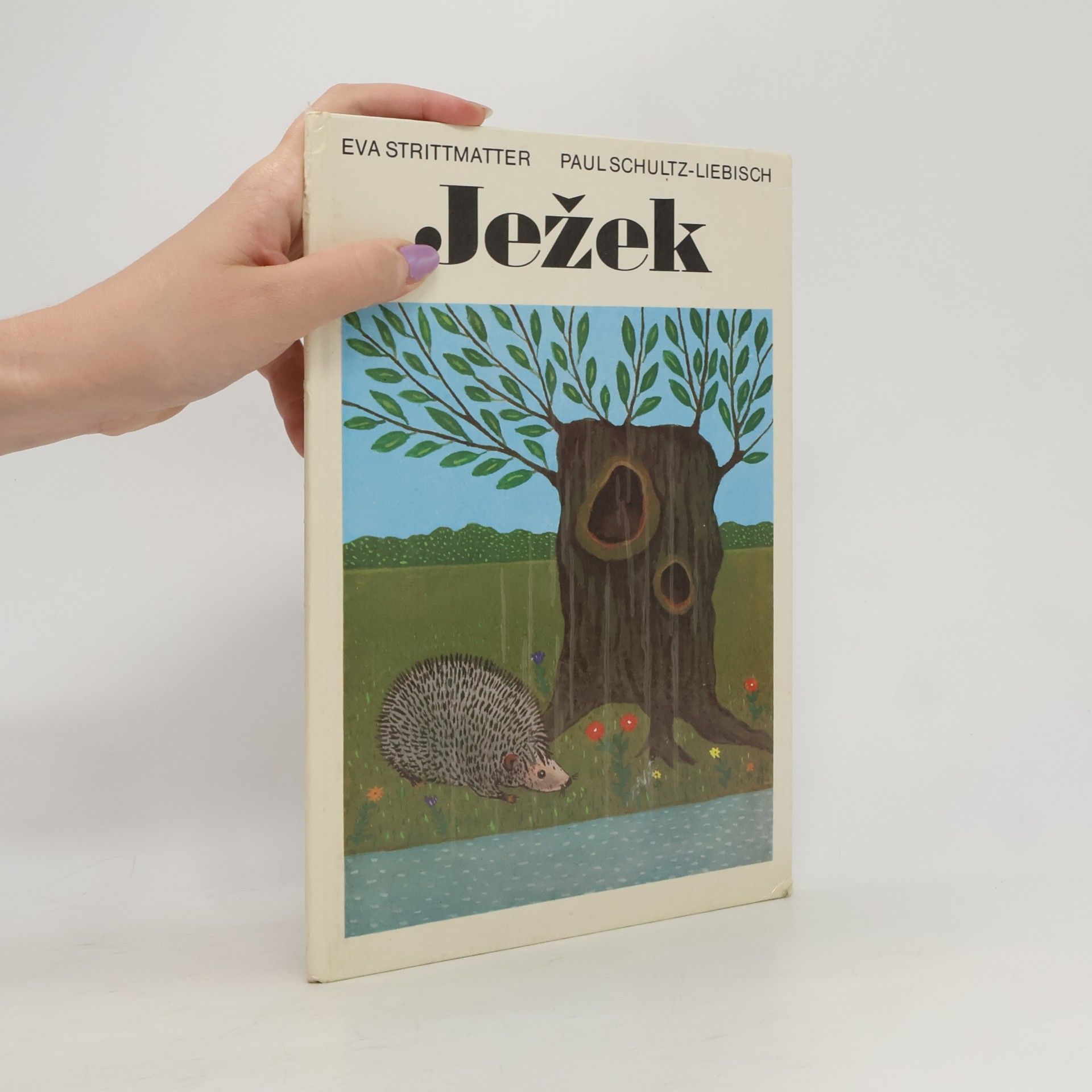 Paul Schultz Liebisch Ježek