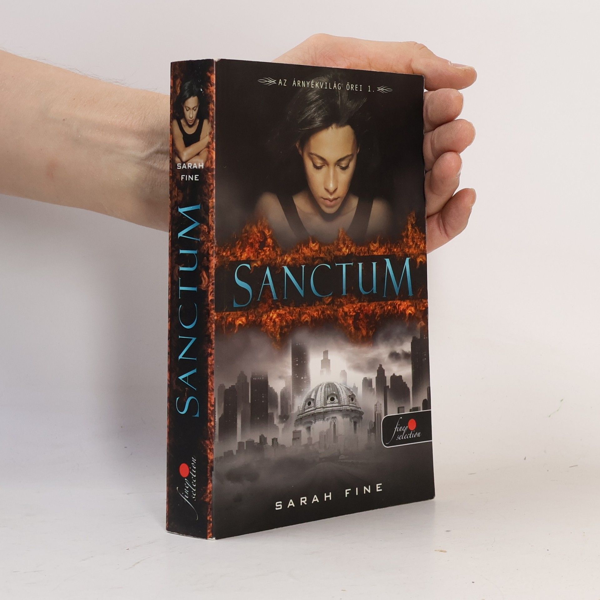 Sarah Fine Sanctum 1