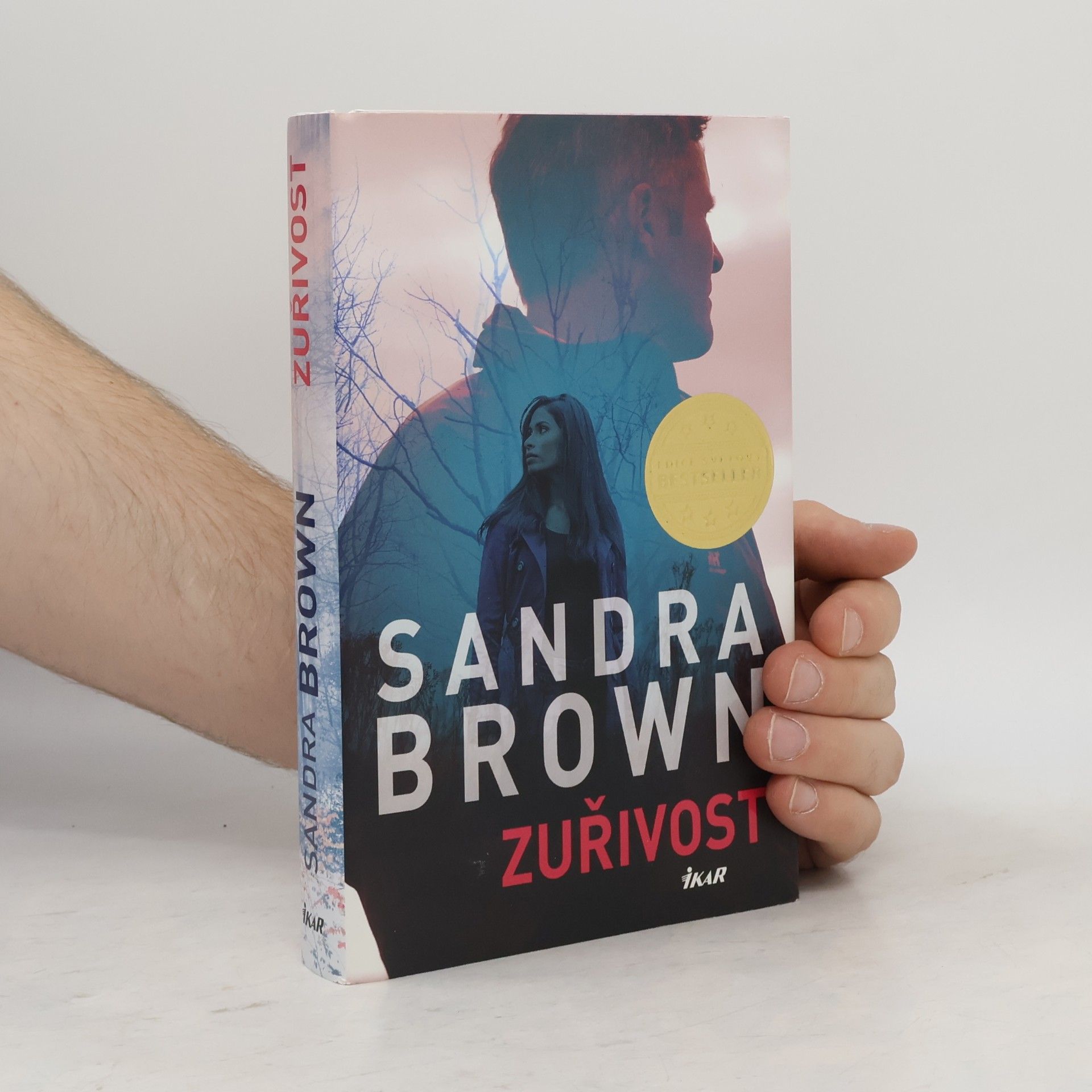 Sandra Brown Zuřivost