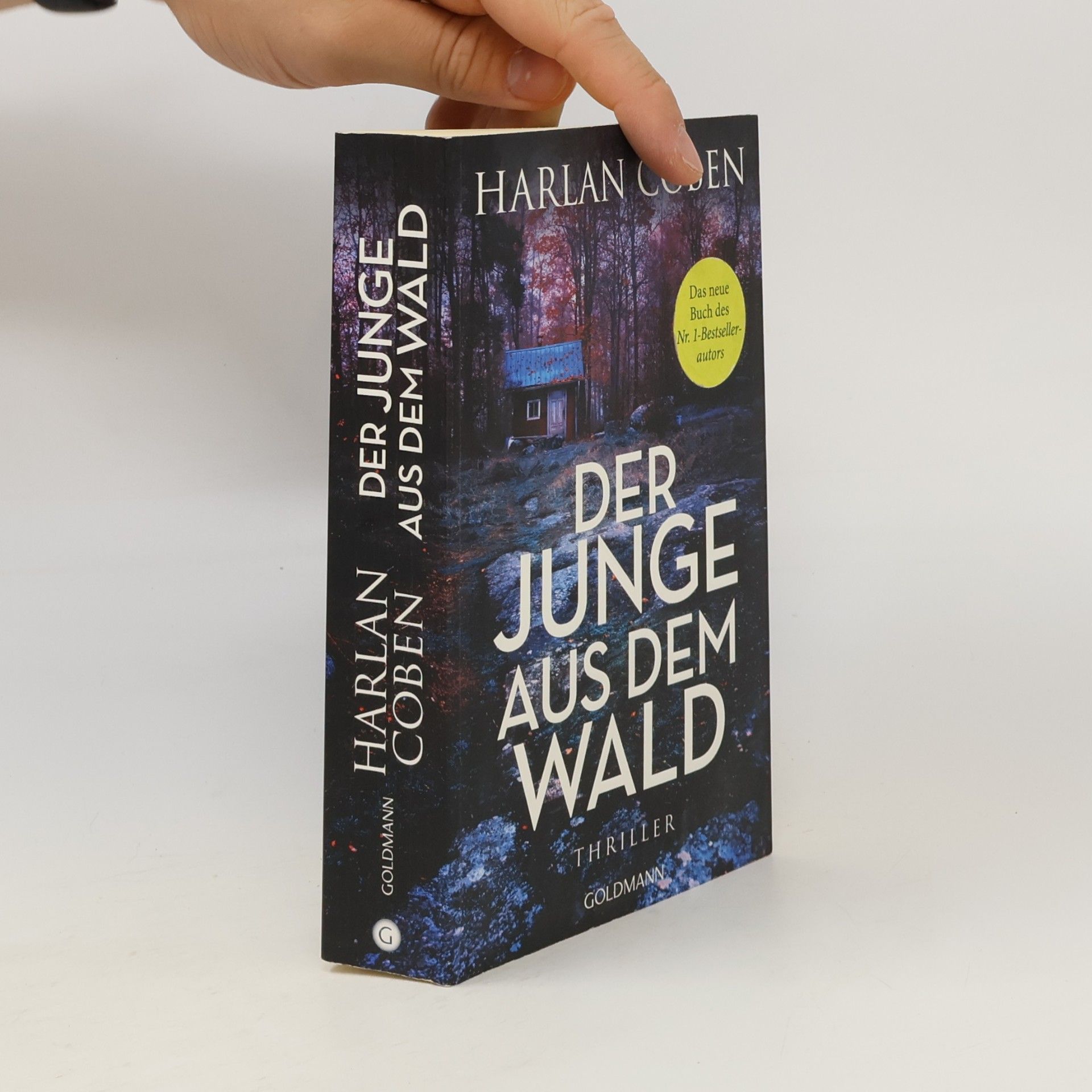 Harlan Coben Der Junge aus dem Wald