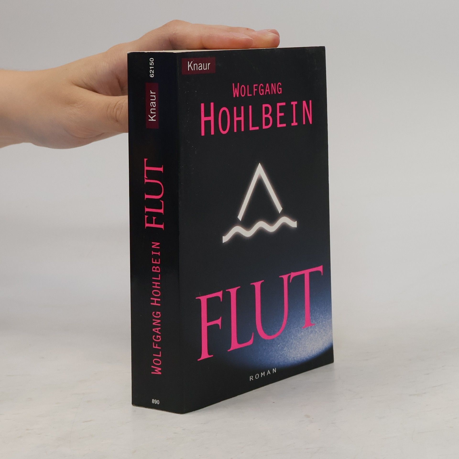 Wolfgang Hohlbein Flut