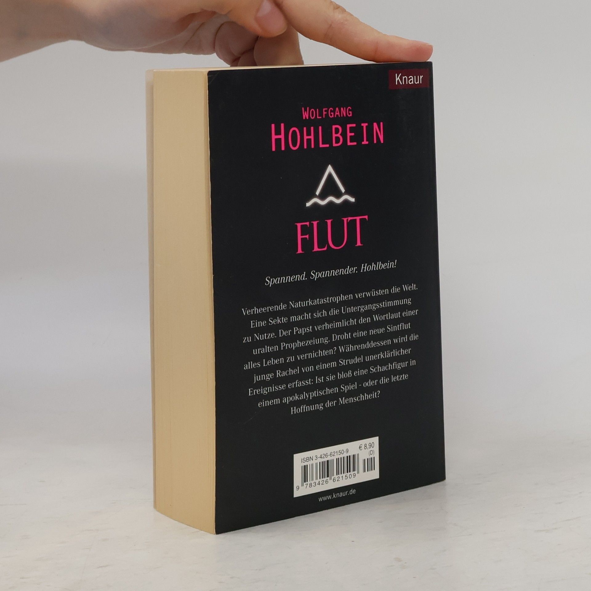 Wolfgang Hohlbein Flut