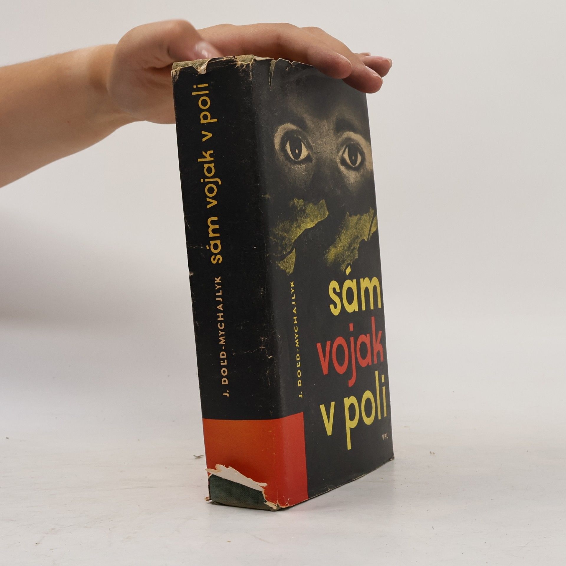 Jurij Dol'd-Mychajlyk Sám vojak v poli 1