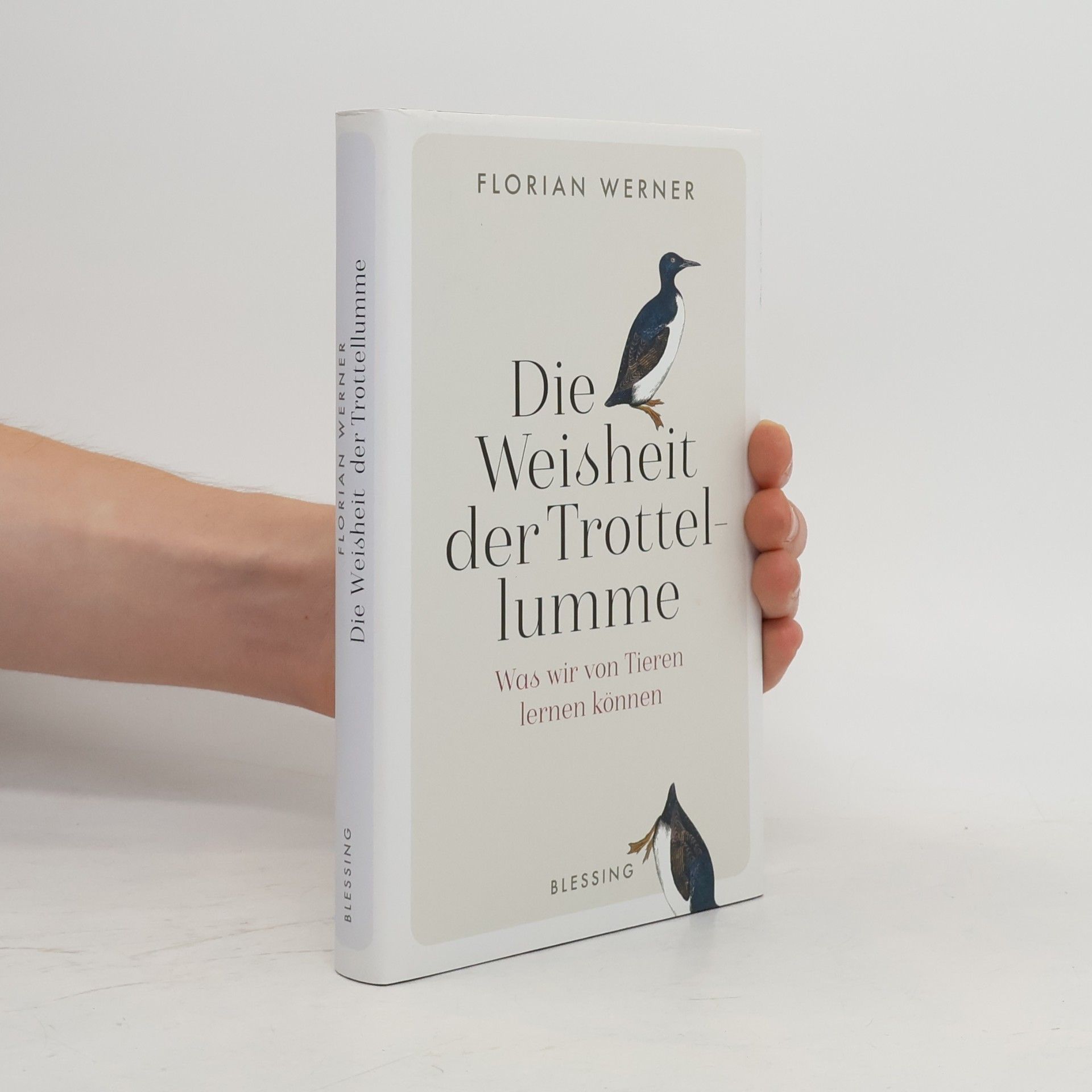 Florian Werner Die Weisheit der Trottellumme