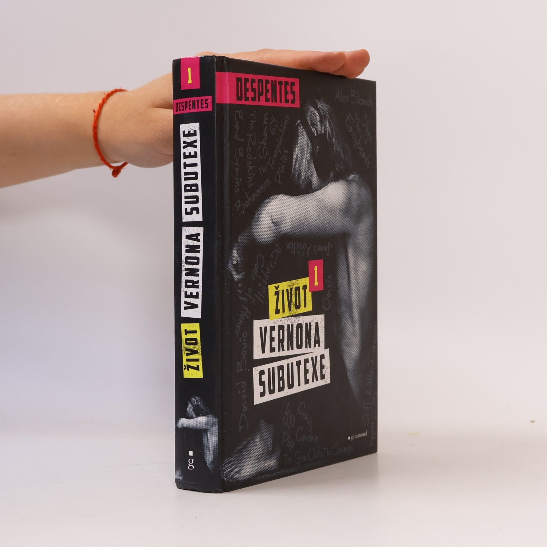 Virginie Despentes Život Vernona Subutexe. Díl 1.