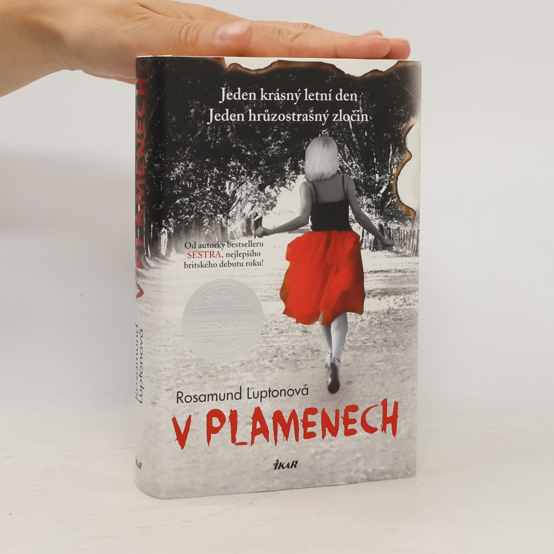 Rosamund Lupton V plamenech
