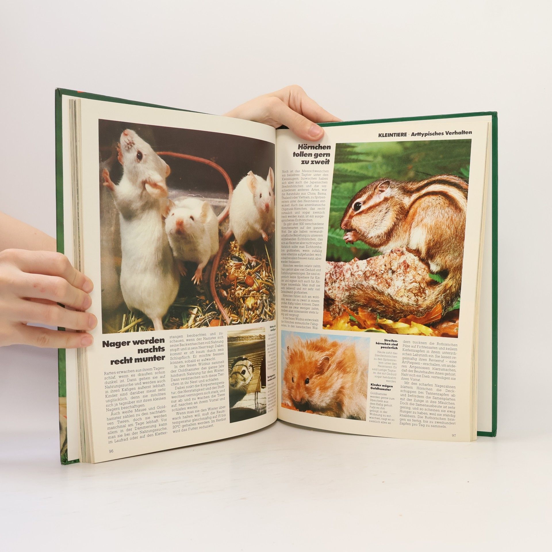 Marfa Berger Der grosse Haustier-Ratgeber