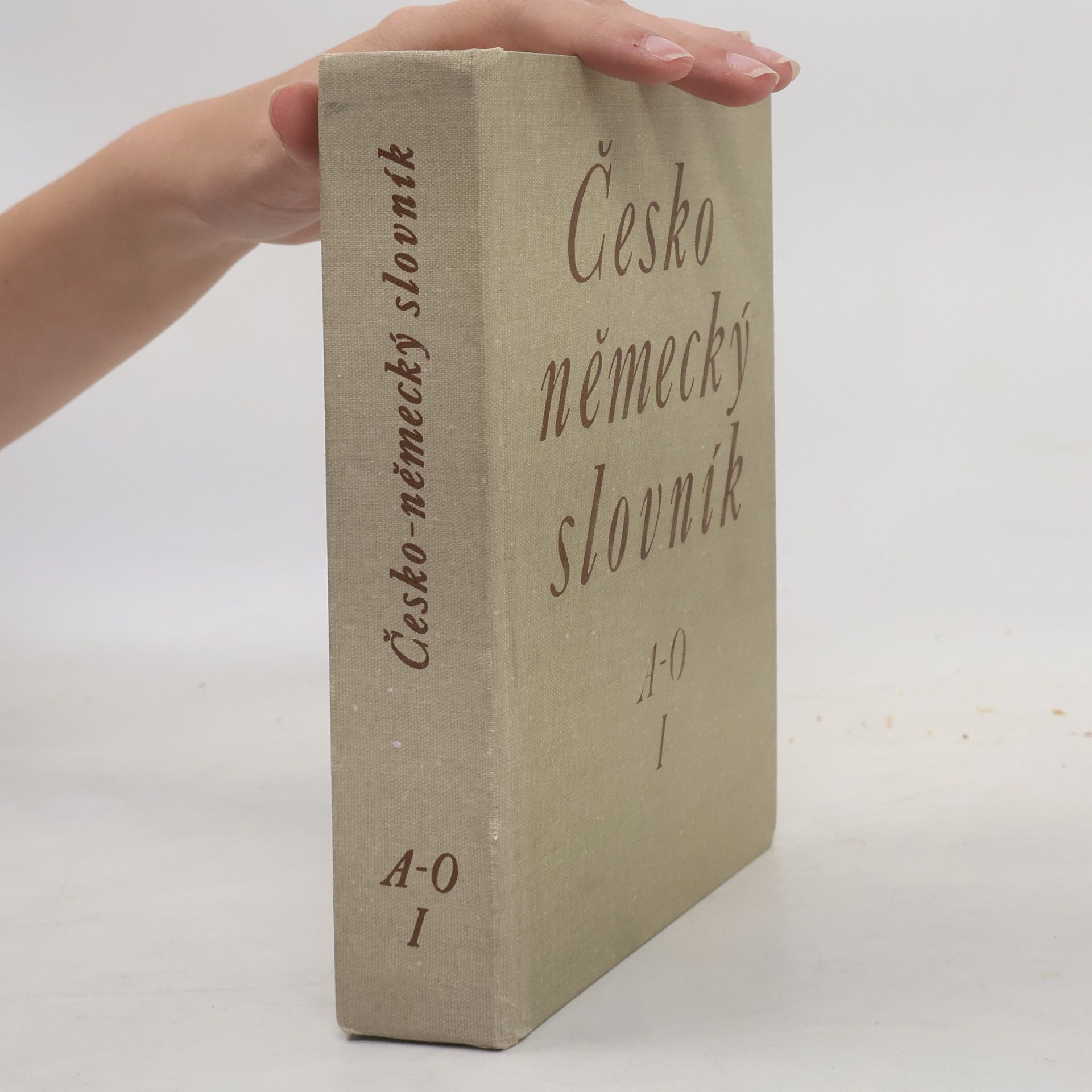 Autorenkollektiv Česko-německý slovník I. A-O