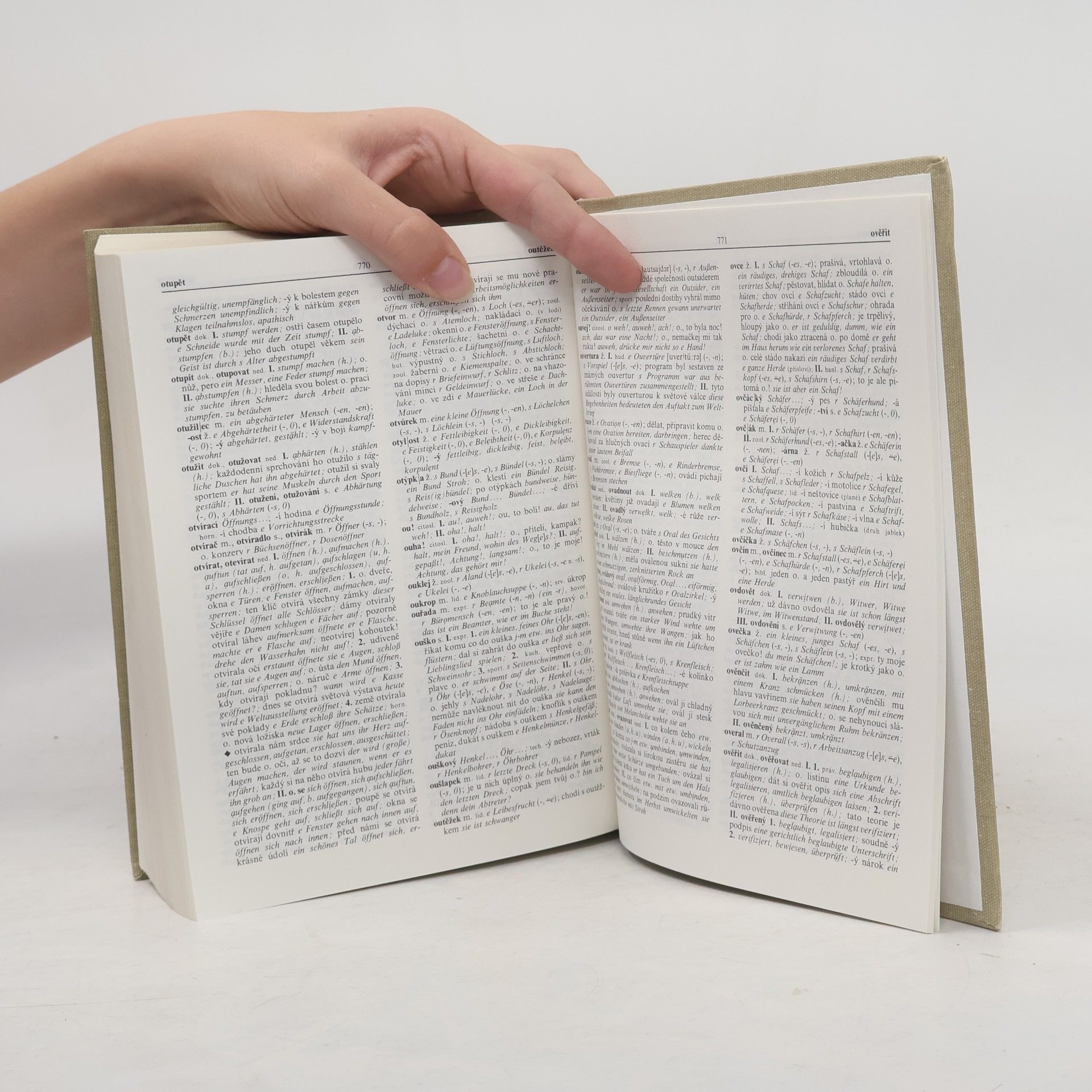 Autorenkollektiv Česko-německý slovník I. A-O