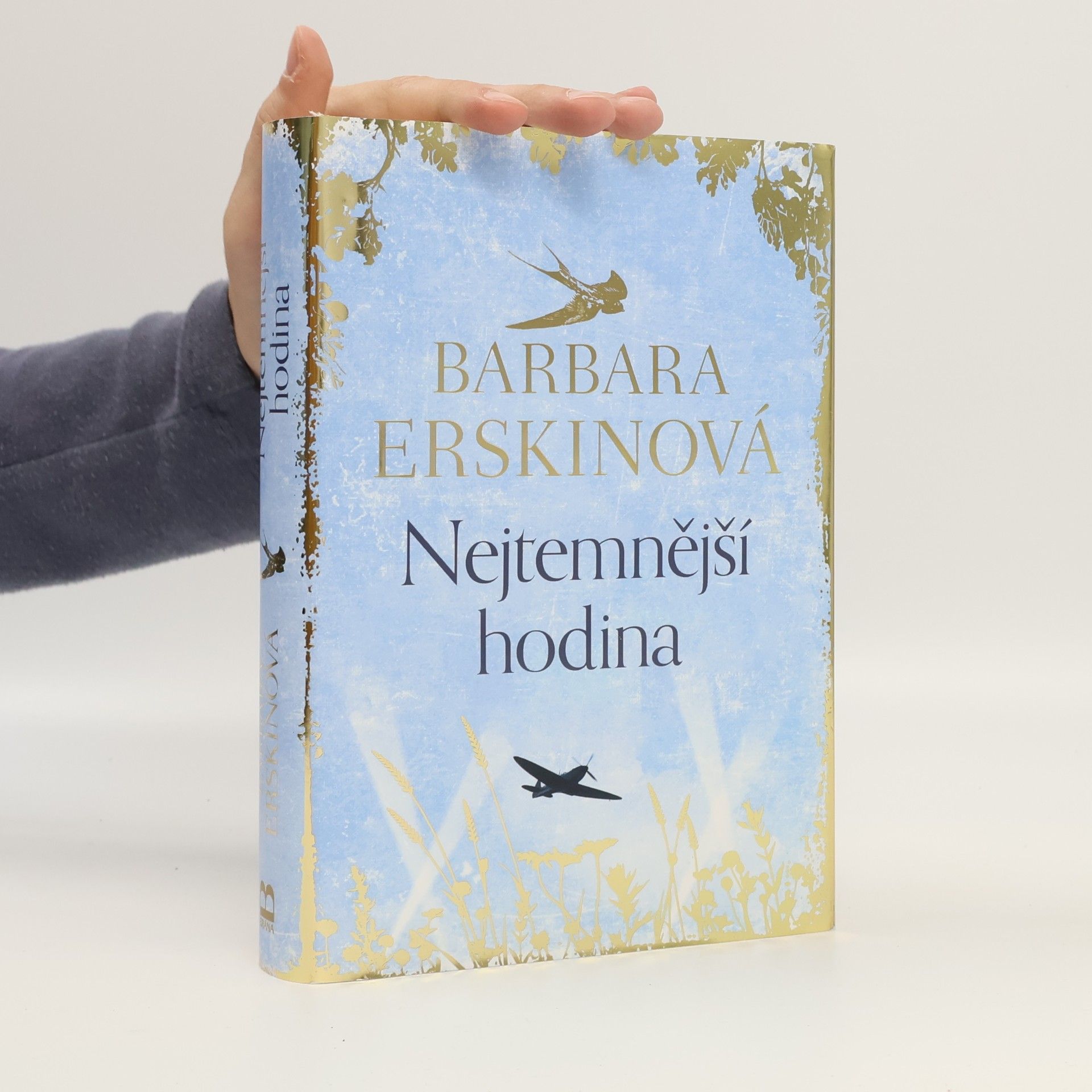 Barbara Erskine Nejtemnější hodina