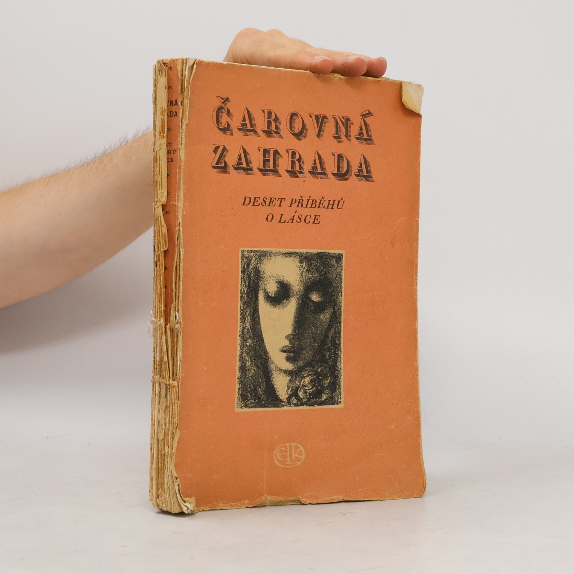 Anna Maria Tilschova Čarovná zahrada: Deset příběhů o lásce