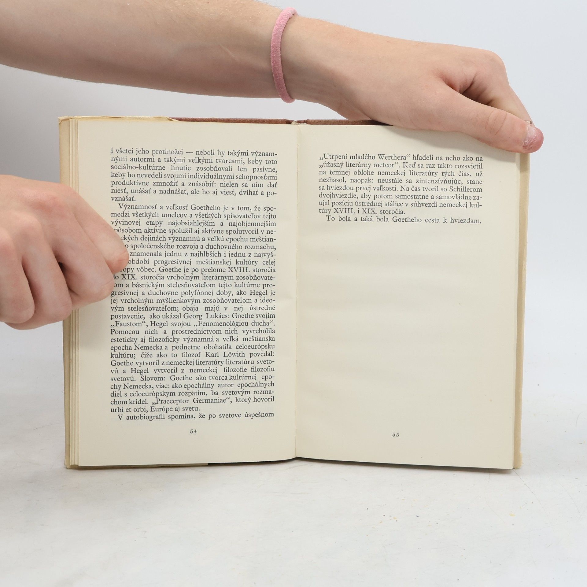 Július Pašteka Literárna siluetka J. W. Goetheho
