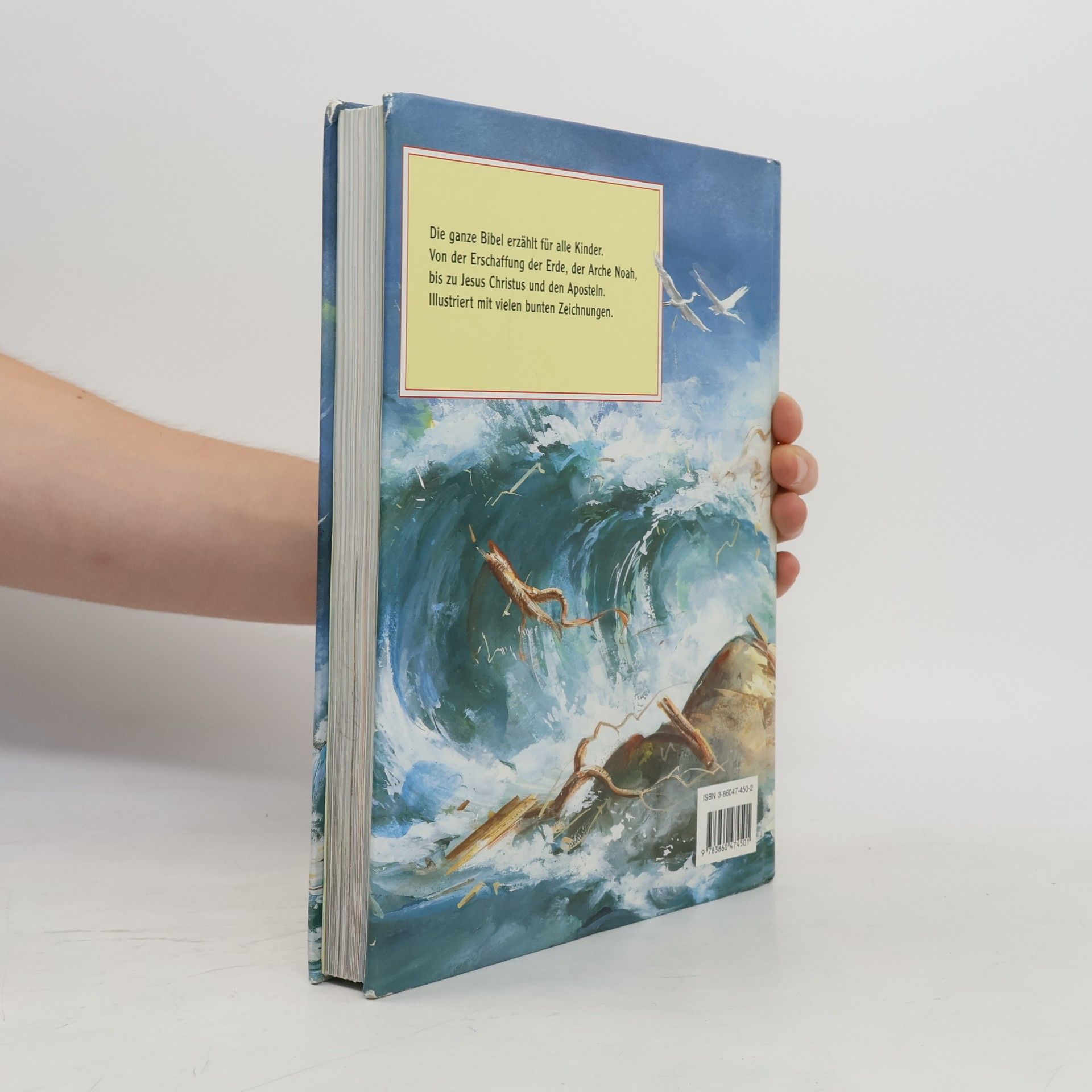 Marjorie Newman Die große Kinderbibel