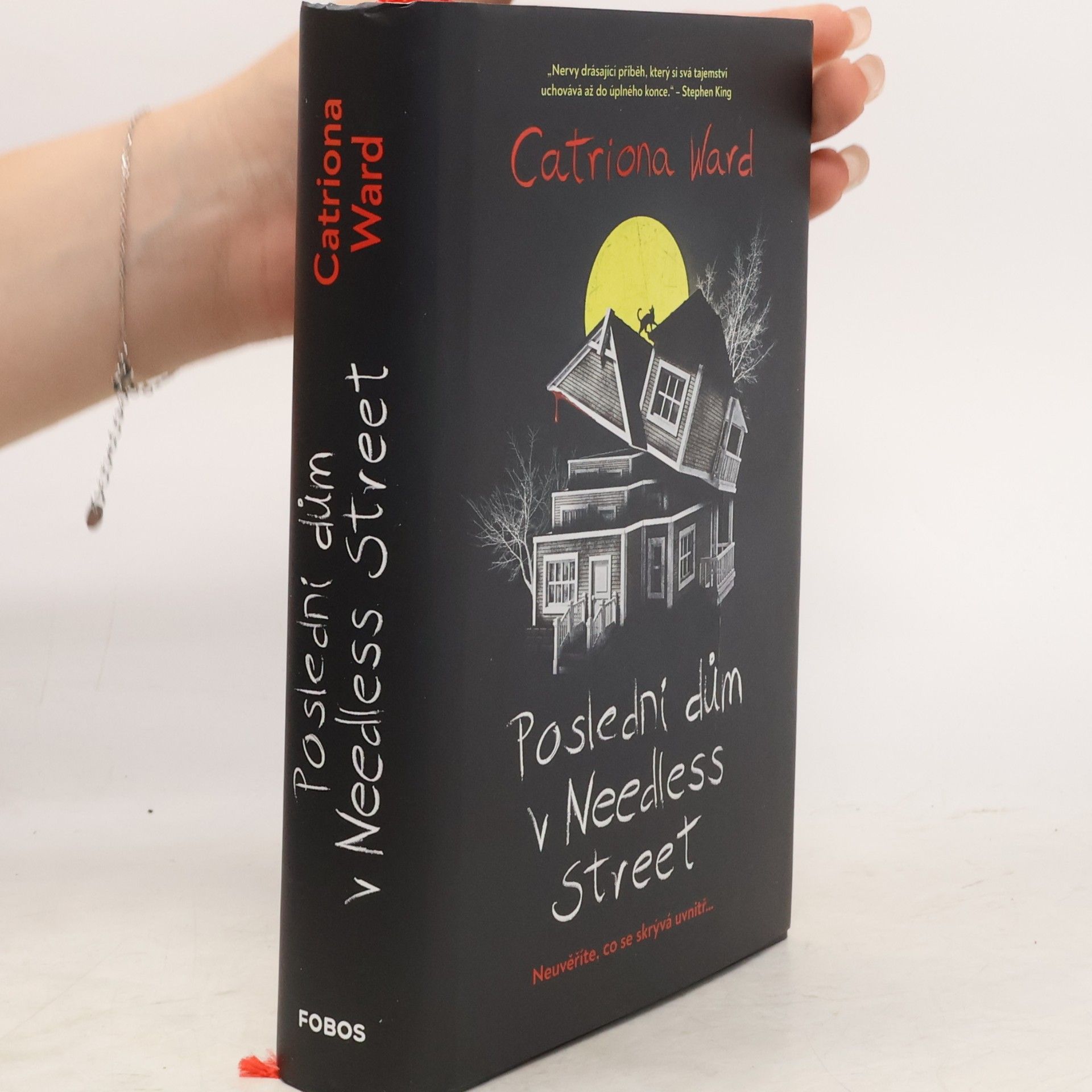 Catriona Ward Poslední dům v Needless Street