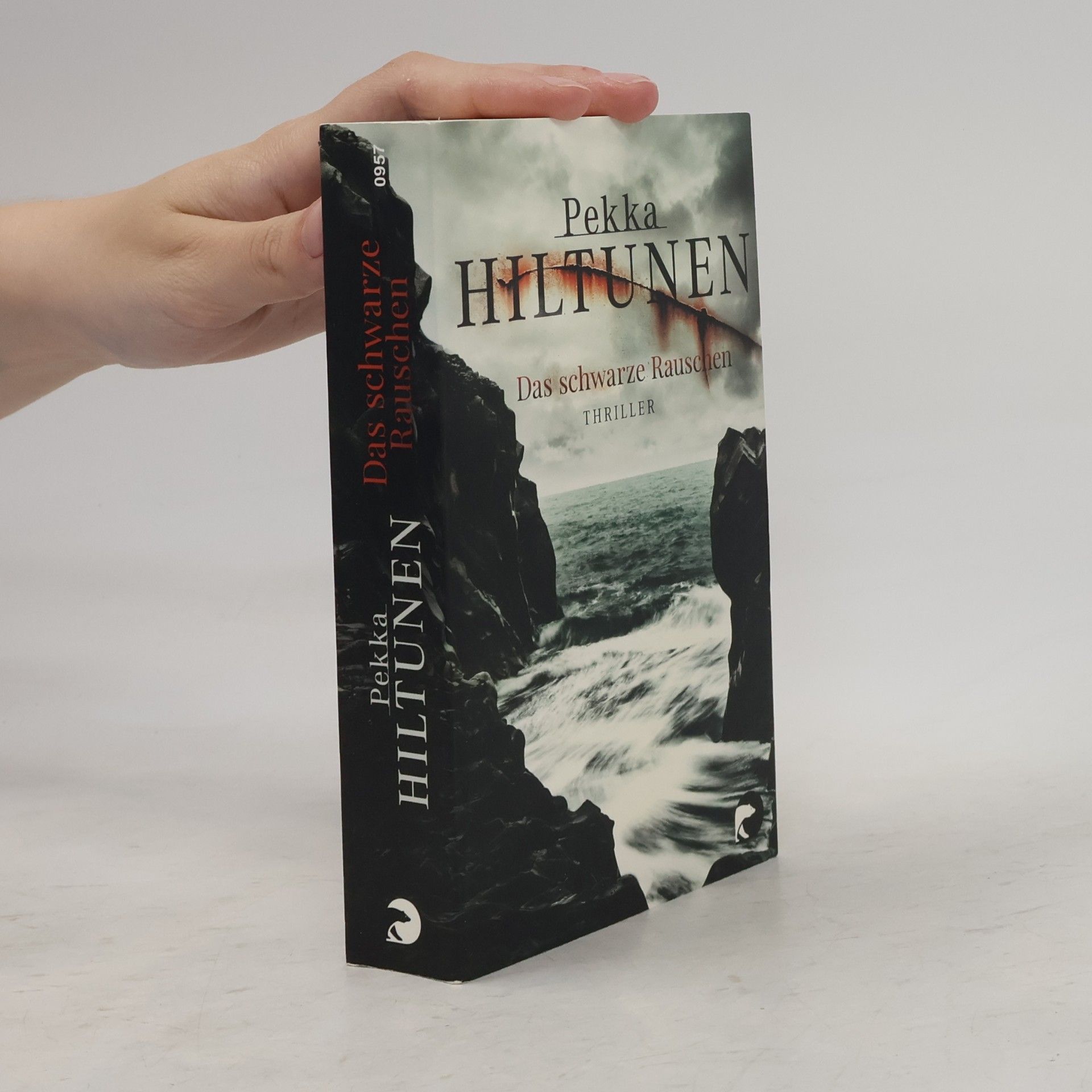 Pekka Hiltunen Das schwarze Rauschen