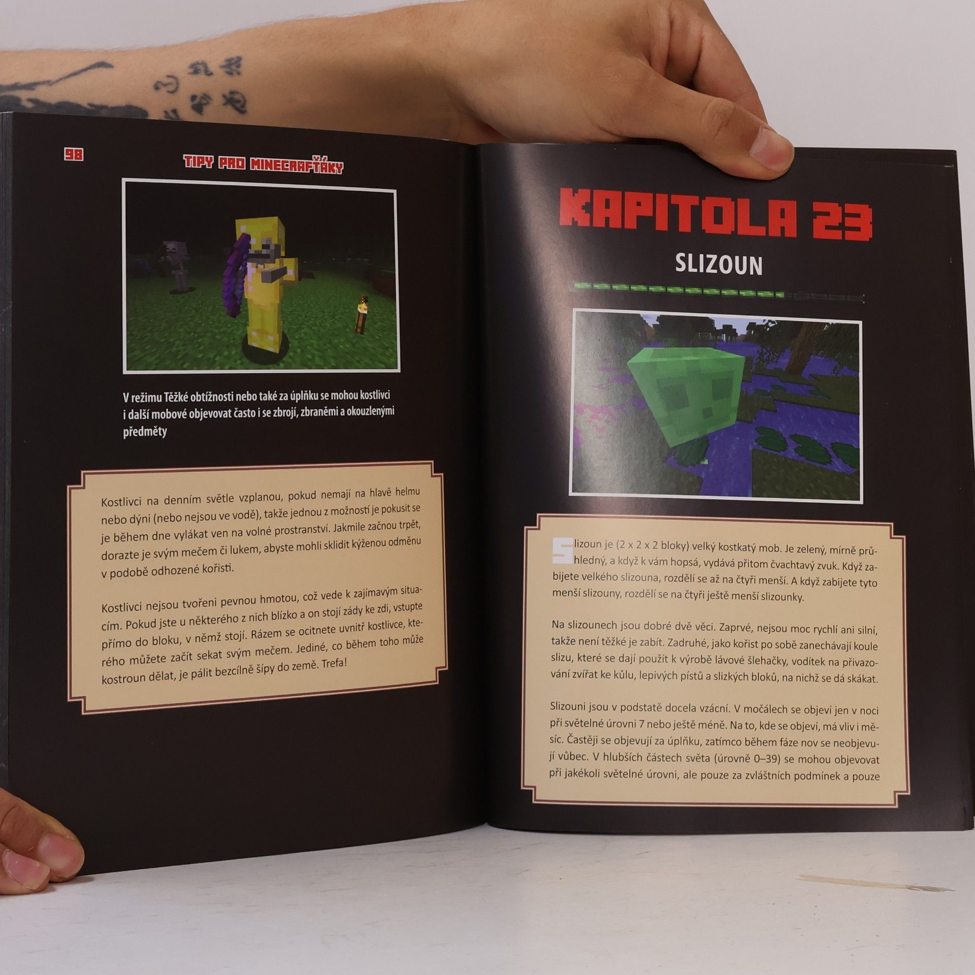 Megan Miller Tajné triky pro Minecrafťáky: Bojová škola