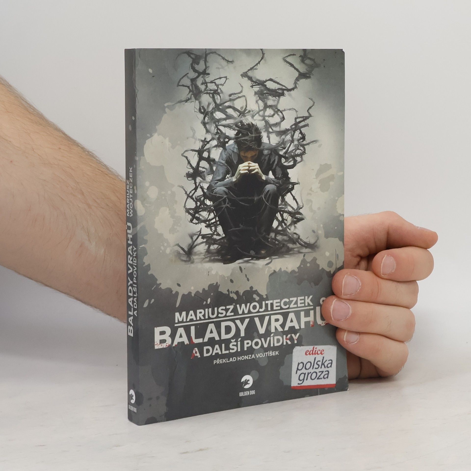Mariusz Wojteczek Balady vrahů a další povídky