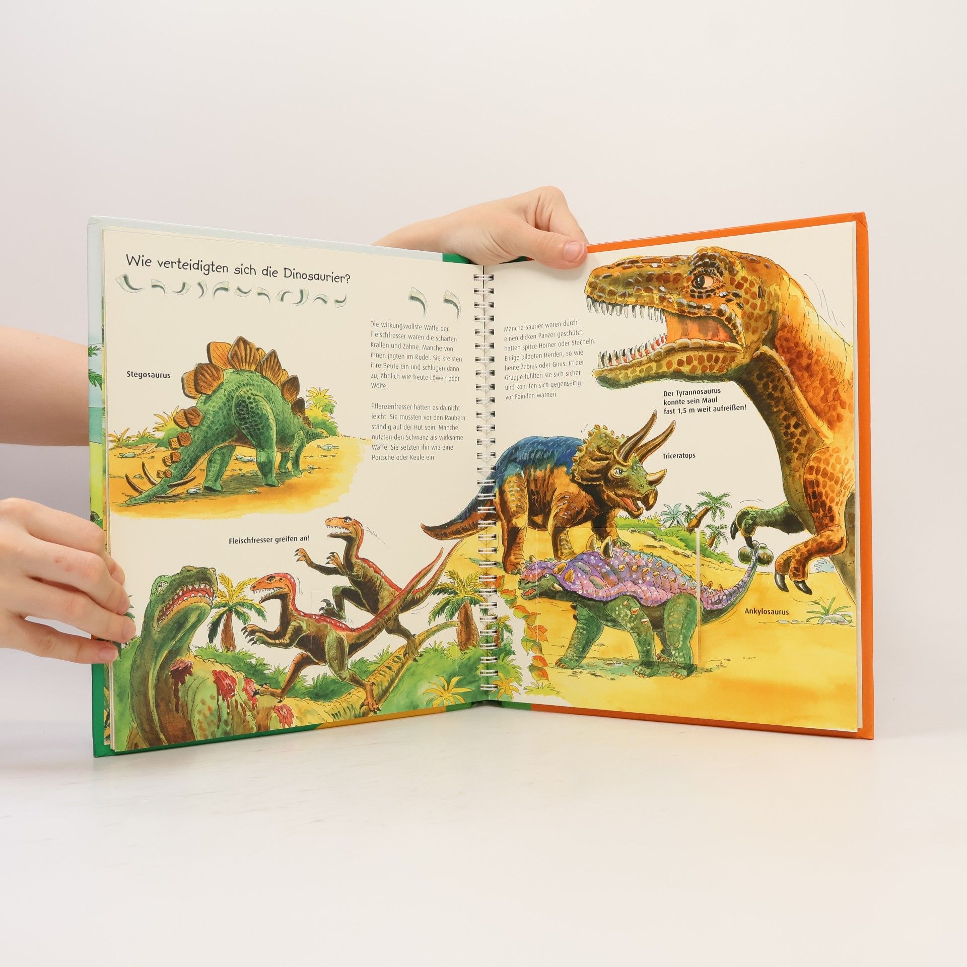 Autorenkollektiv MiniMaxiWissen - Dinosaurier