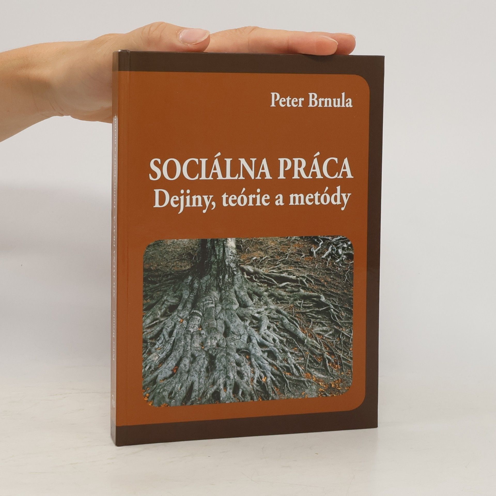 Peter Brnula Sociálna práca