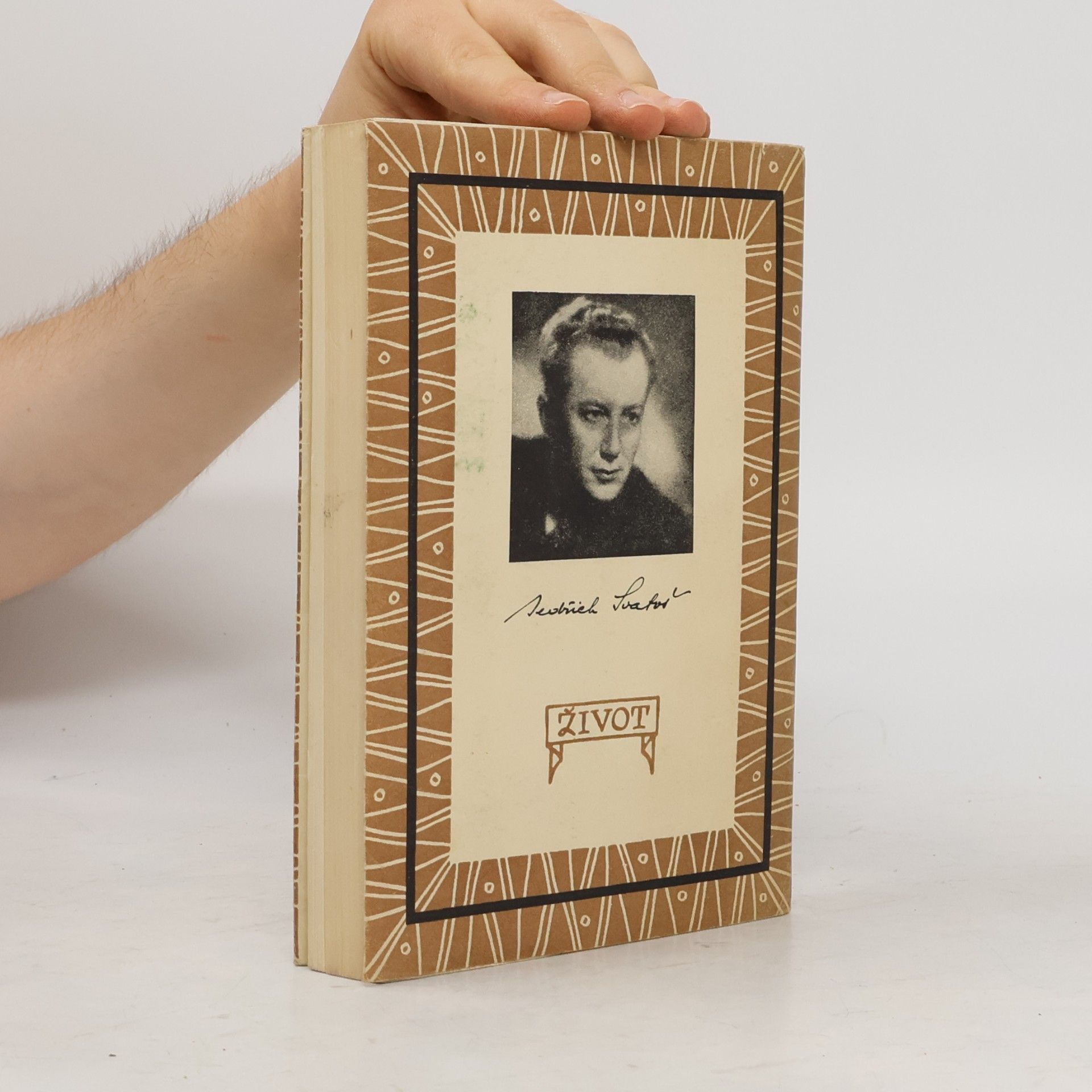 Bedřich Svatoš Poslední městečko