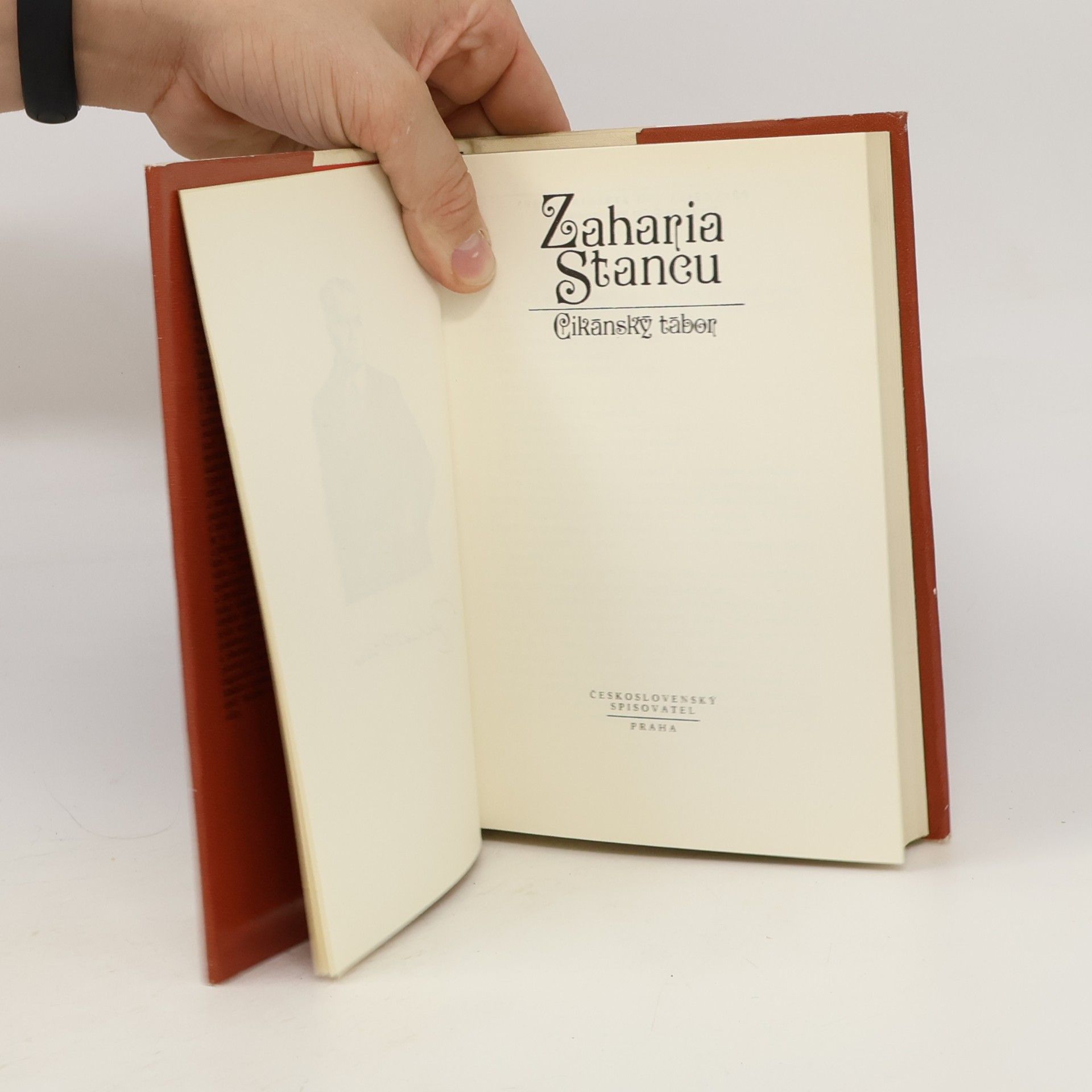 Zaharia Stancu Cikánský tábor