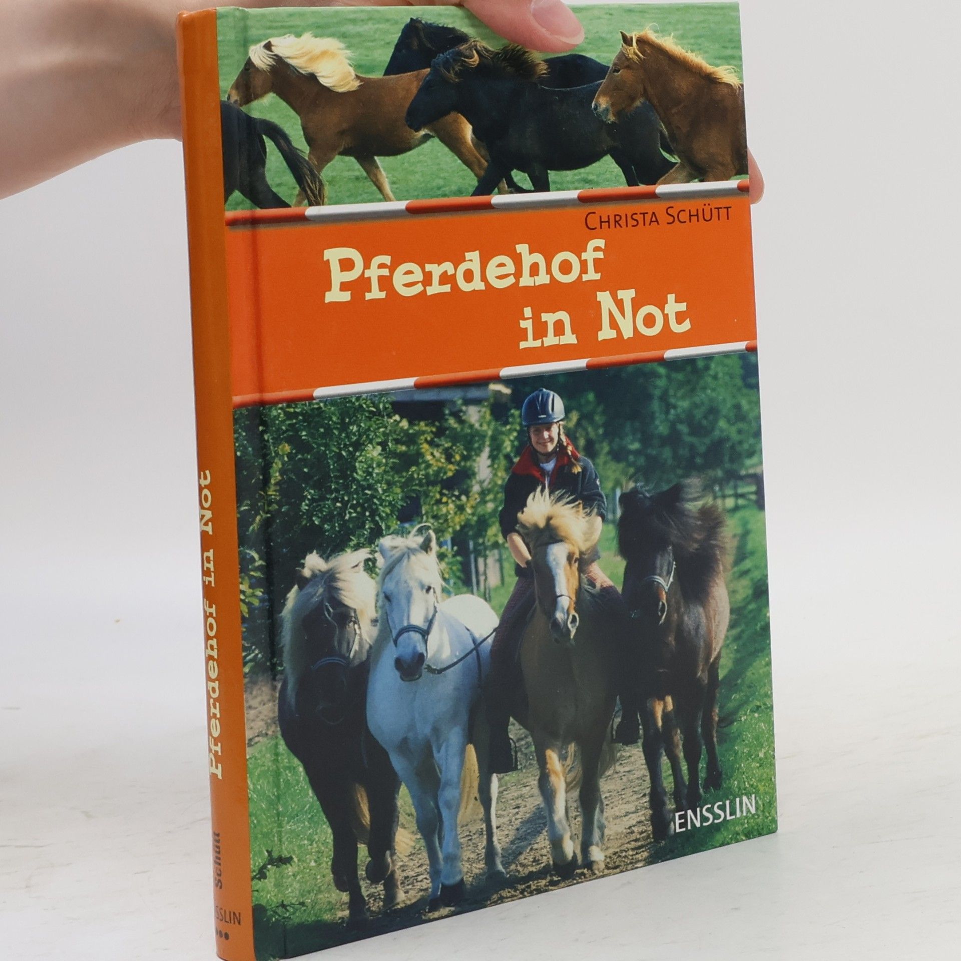 Christa Schütt Pferdehof in Not