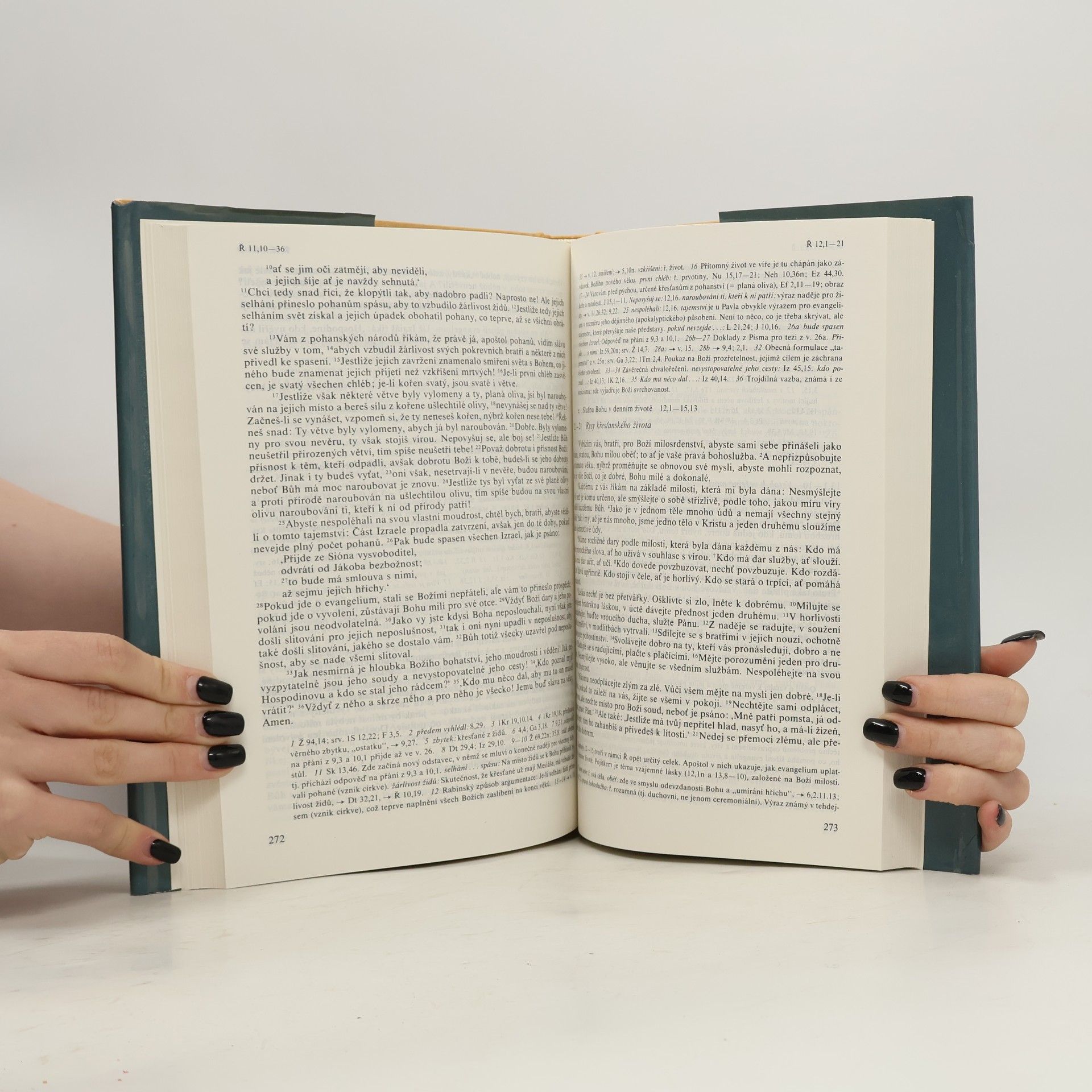 Various authors Nový zákon s výkladovými poznámkami