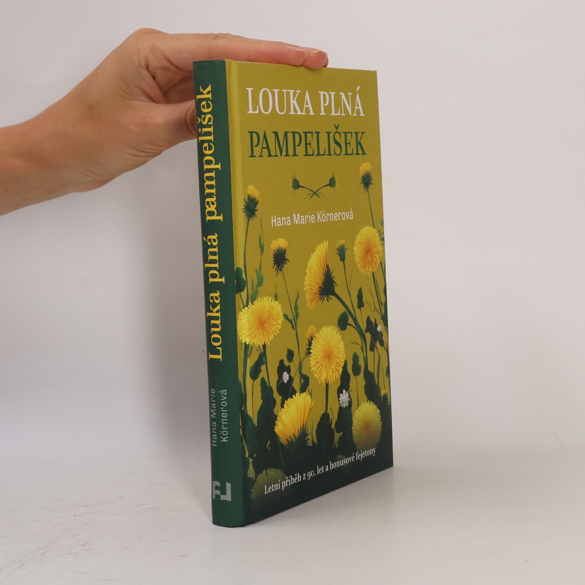 Louka plná pampelišek