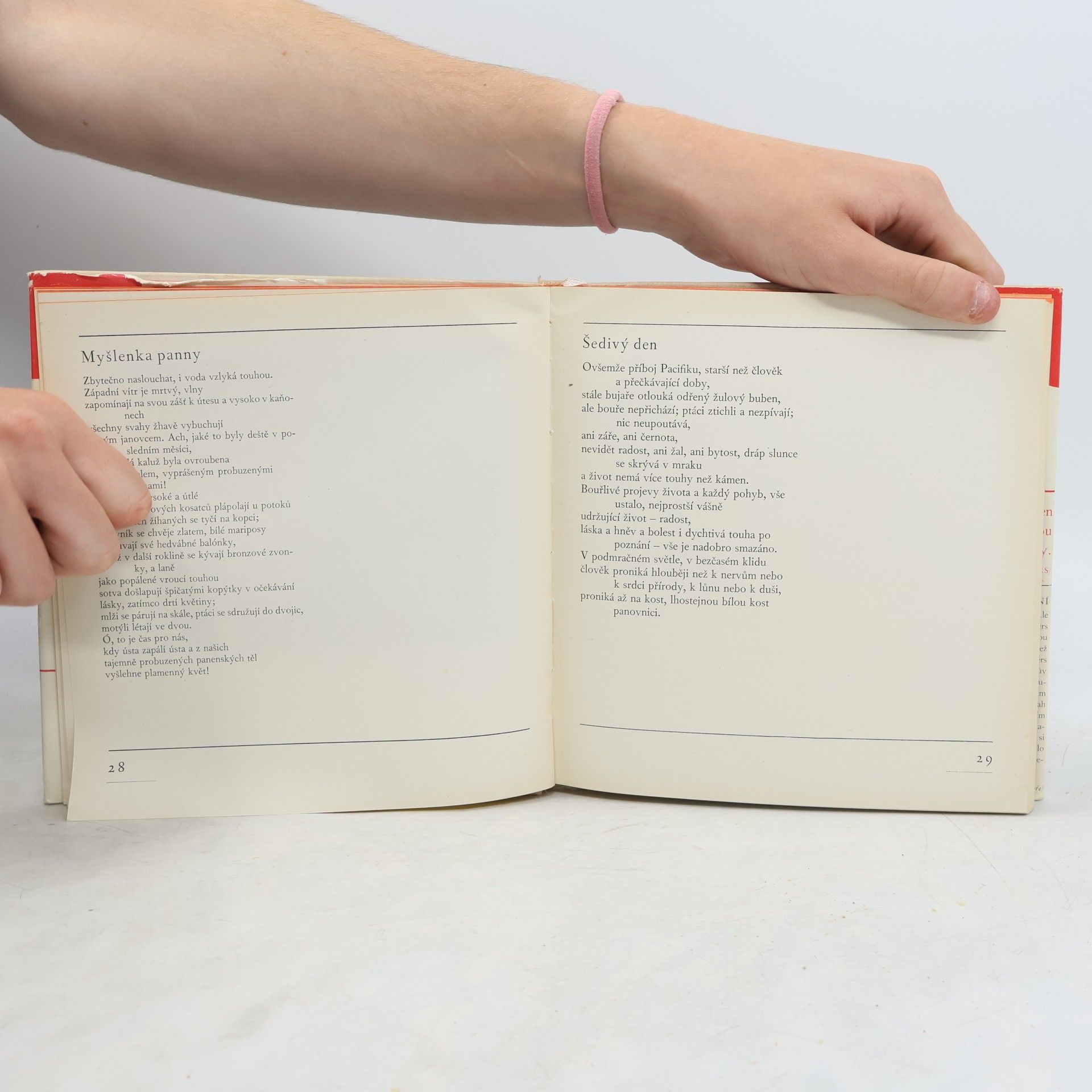 Robinson Jeffers Básně z Jestřábí věže