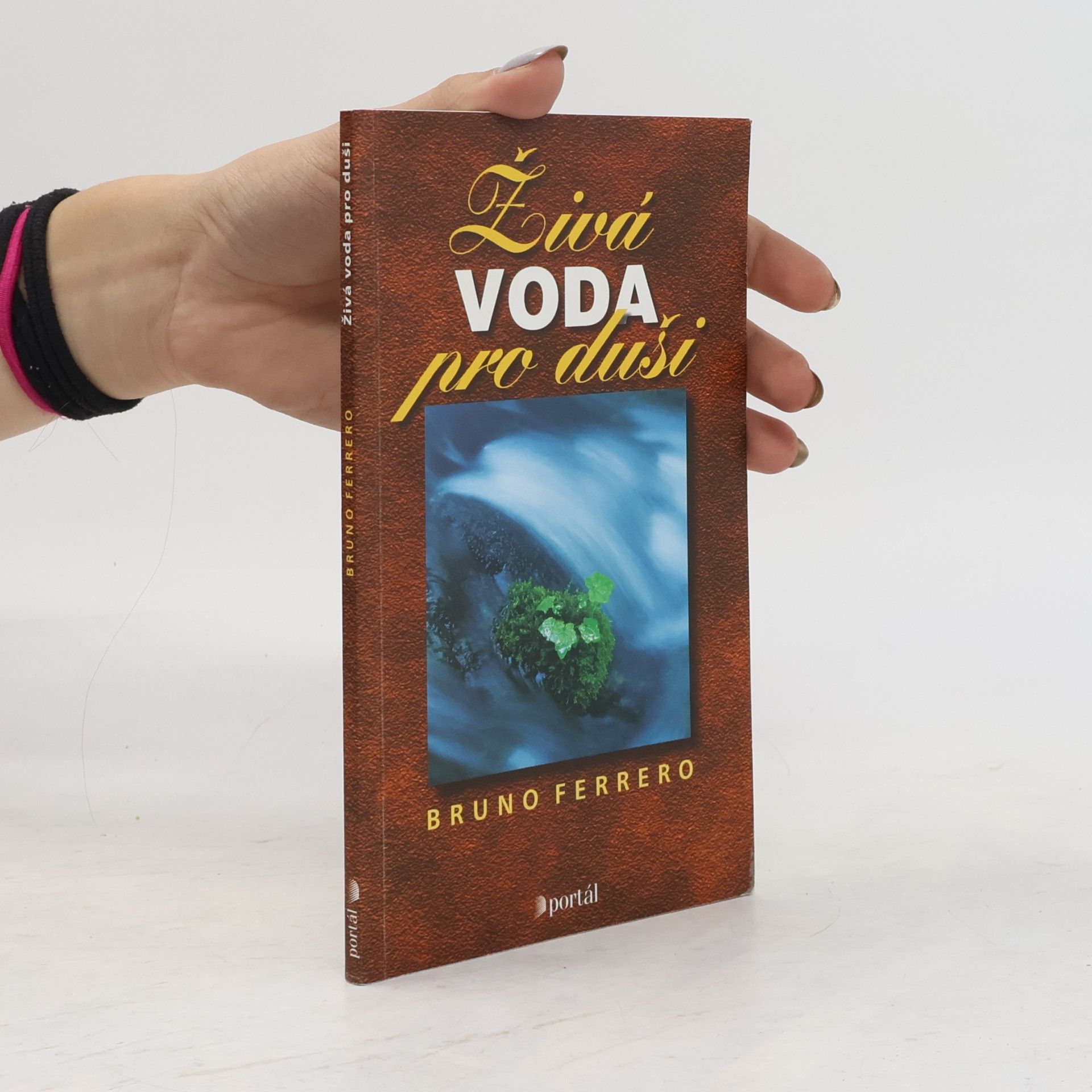 Bruno Ferrero Živá voda pro duši