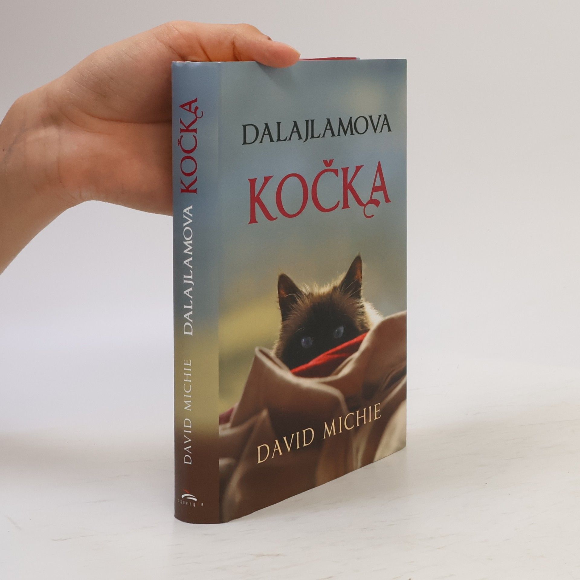 David Michie Dalajlamova kočka