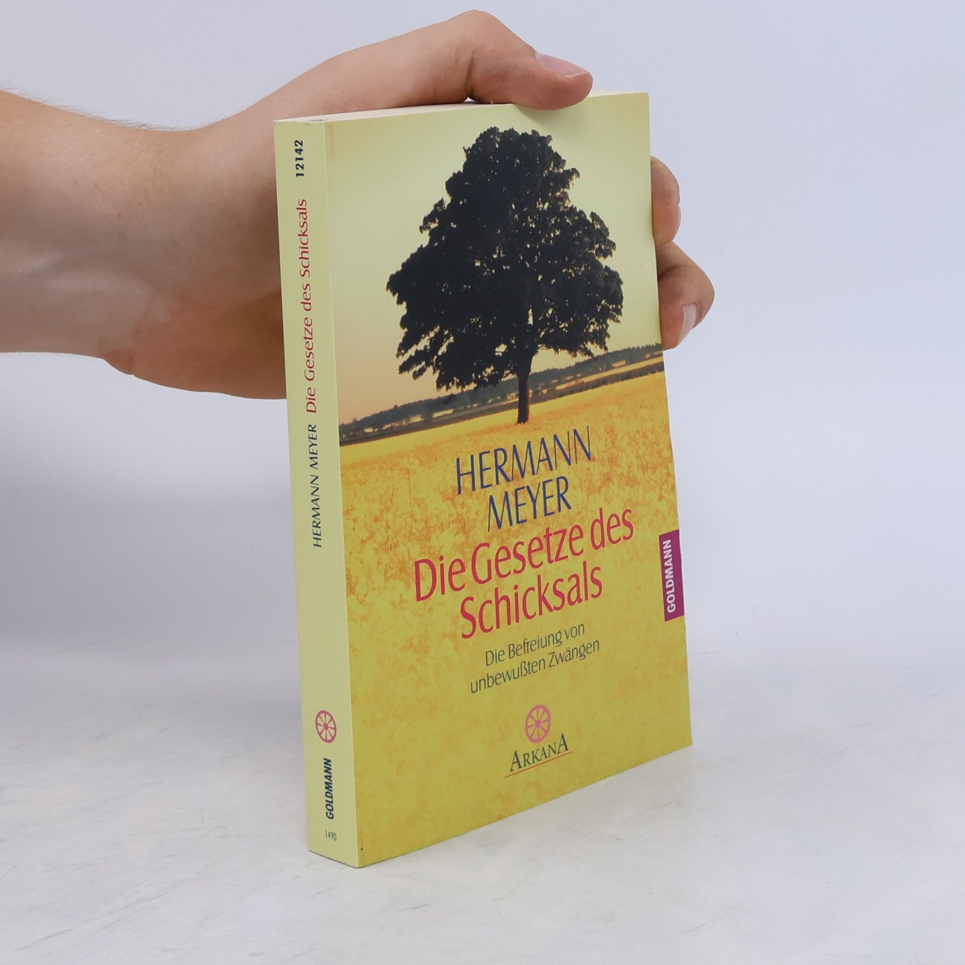Herman Meyer Die Gesetze des Schicksals