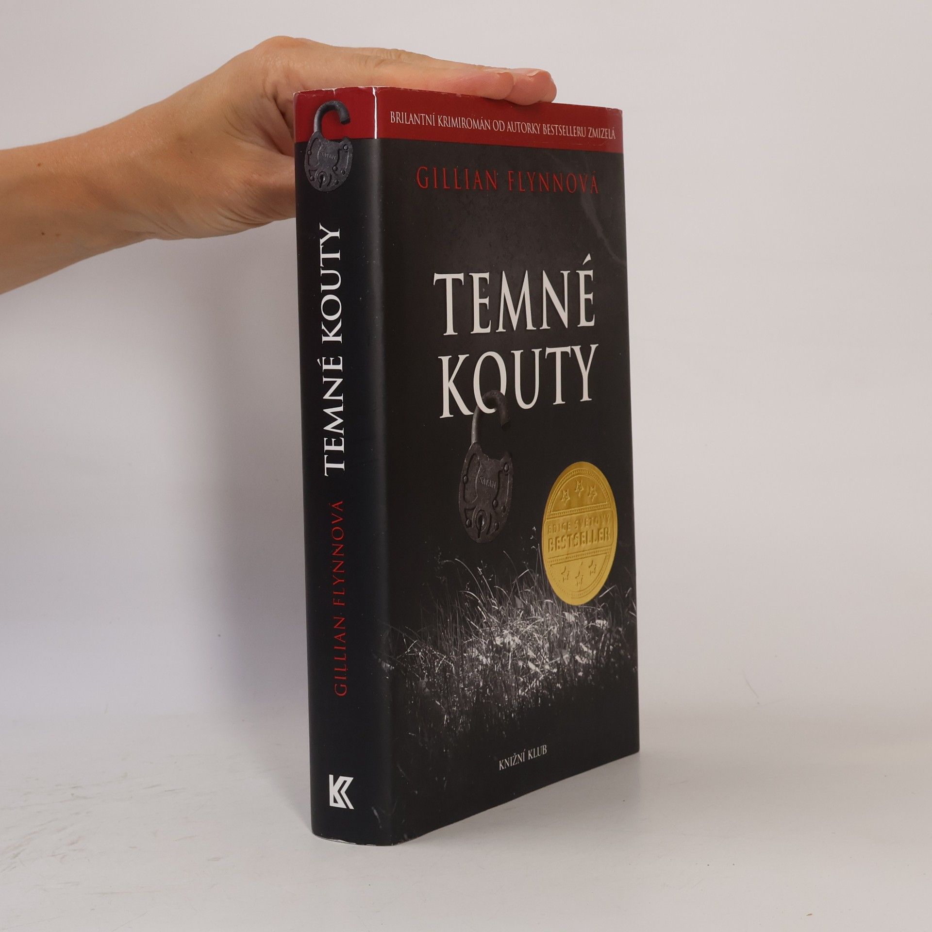 Gillian Flynn Temné kouty